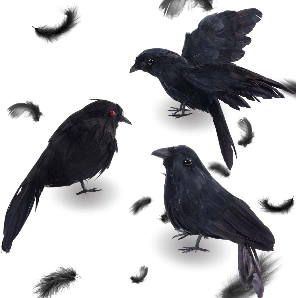 Scary Black And White 桌布 壁紙 — 三隻帶有紅色眼睛和散落羽毛的光澤黑鳥，漂浮在純白背景上。