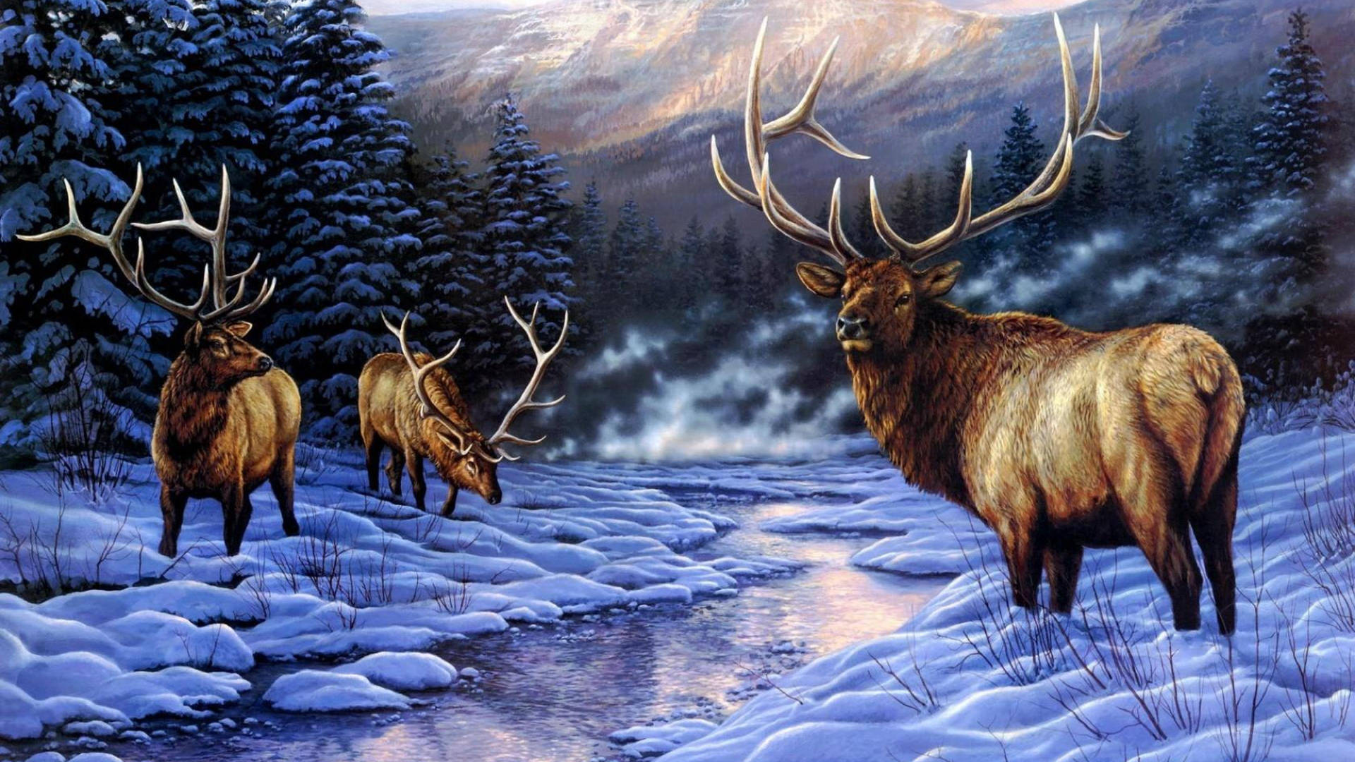  壁紙 — 三隻擁有巨大鹿角的雄偉麋鹿，站在暮色天空下冰雪覆蓋的冬季森林中，旁邊是一條結冰的小溪。