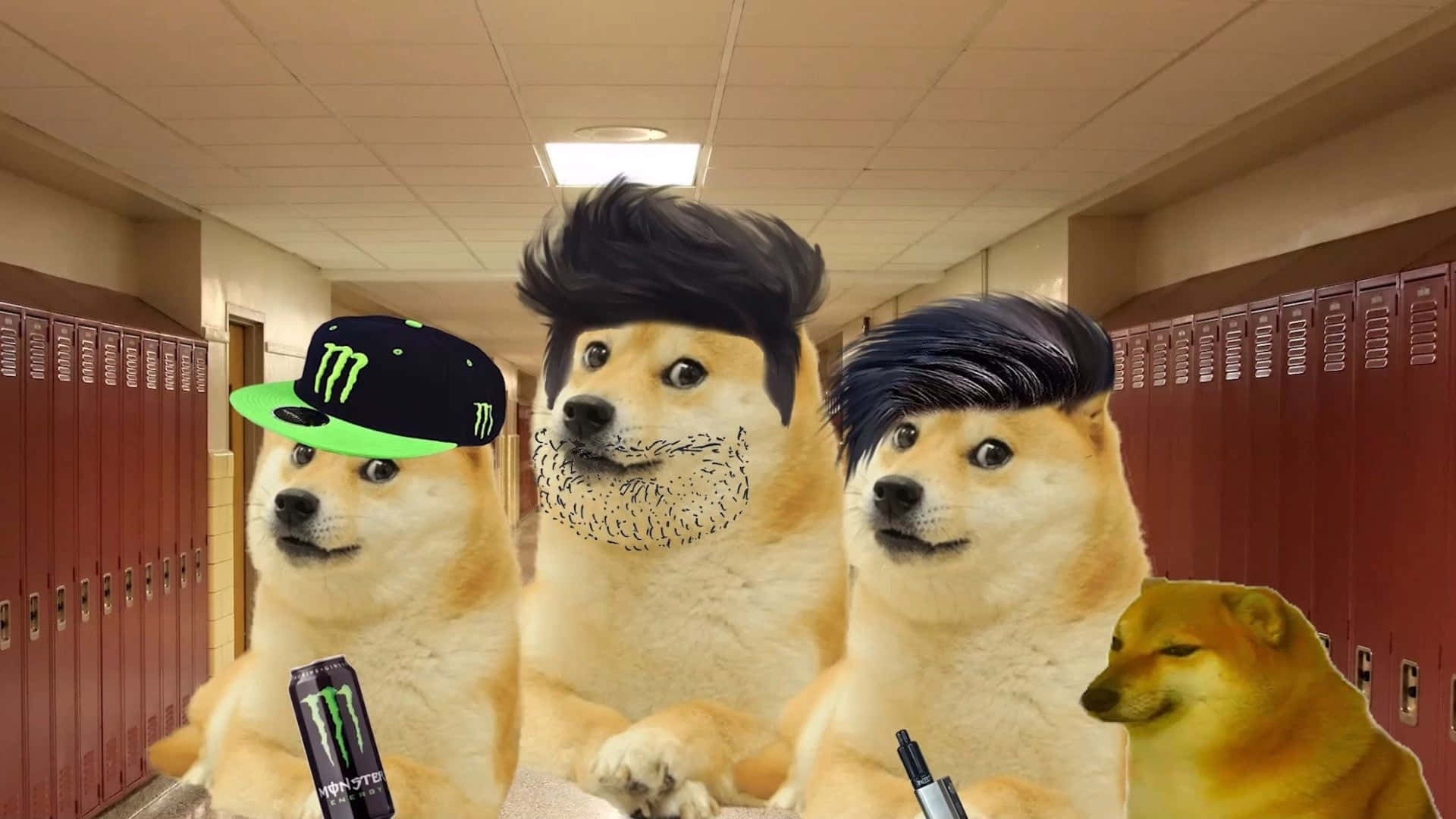 Dog Memes 桌布 壁紙 — 三隻擬人化的狗戴著假髮和一瓶Monster Energy飲料，在學校走廊的紅色置物櫃前擺姿勢。