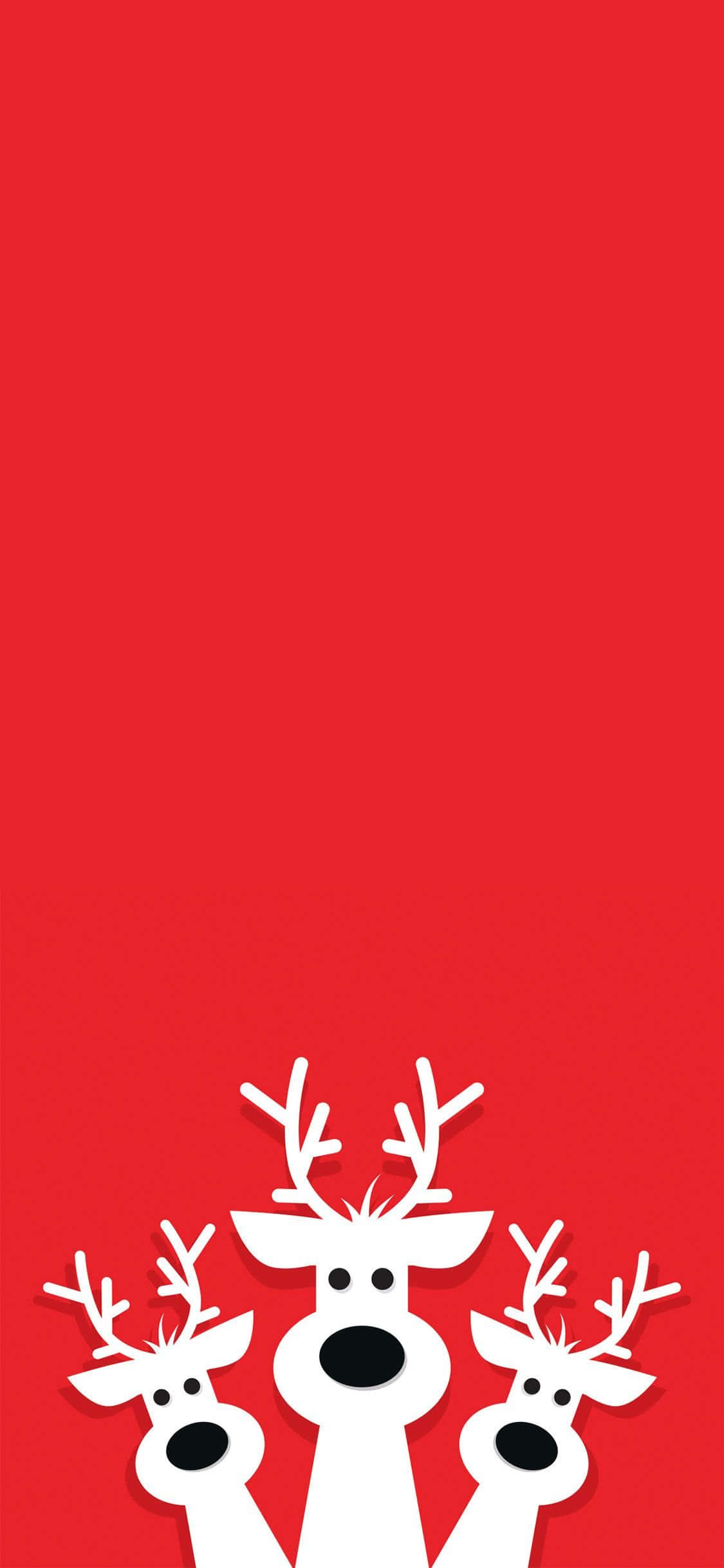 Cute Red 桌布 壁紙 — 三隻極簡風格的白色馴鹿，黑色眼睛和鼻子，從純紅色背景底部探出頭來。