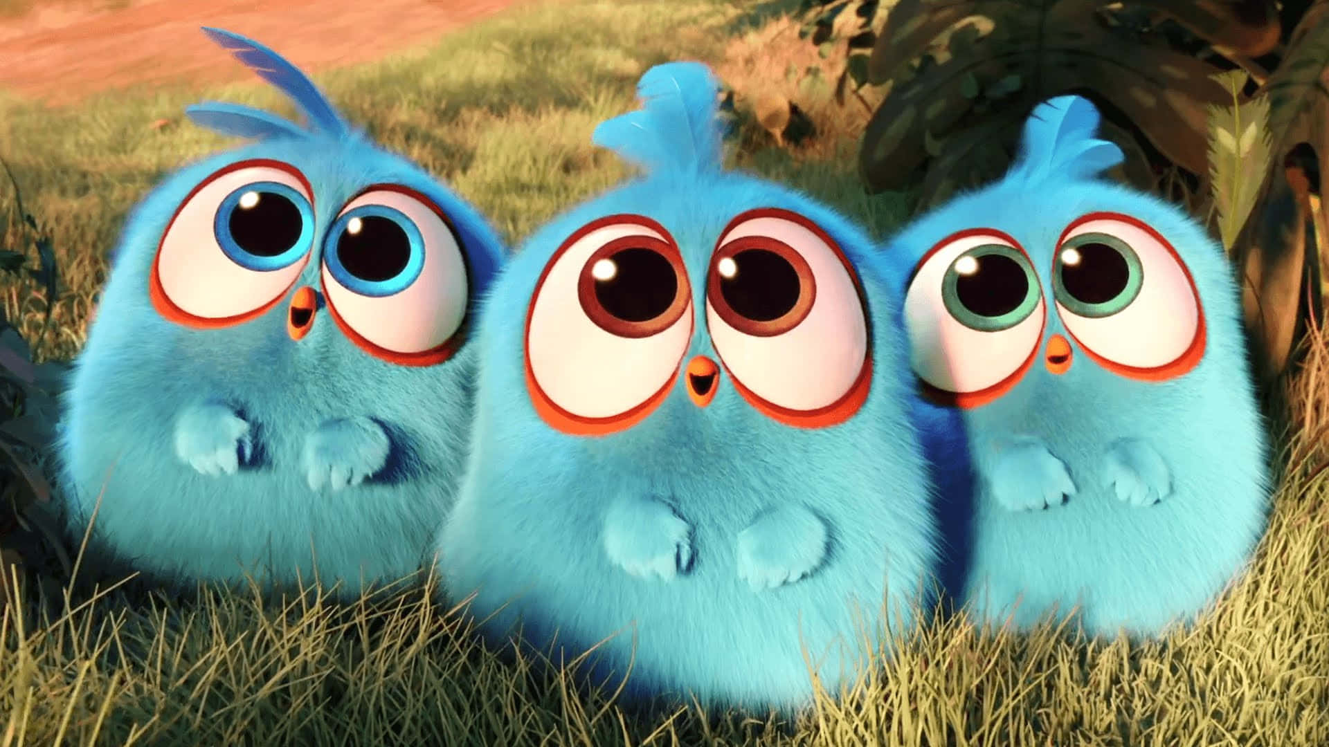 Cute Animated 桌布 壁紙 — 三隻毛茸茸的藍色卡通鳥，有著超大的眼睛，好奇地從草地上探出頭來。