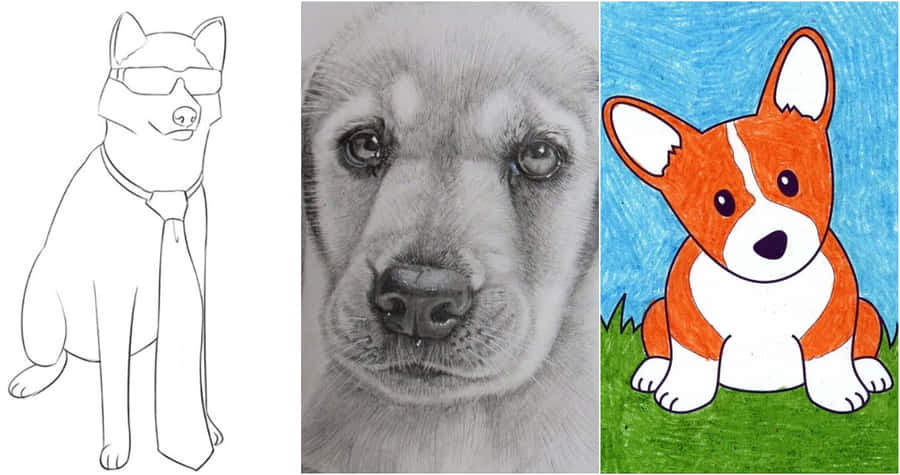 Easy Dog 桌布 壁紙 — 三隻狗插圖並排：一隻戴領帶的線條藝術狗、一隻小狗臉部的逼真鉛筆素描，以及一隻在草地上的彩色卡通柯基犬。