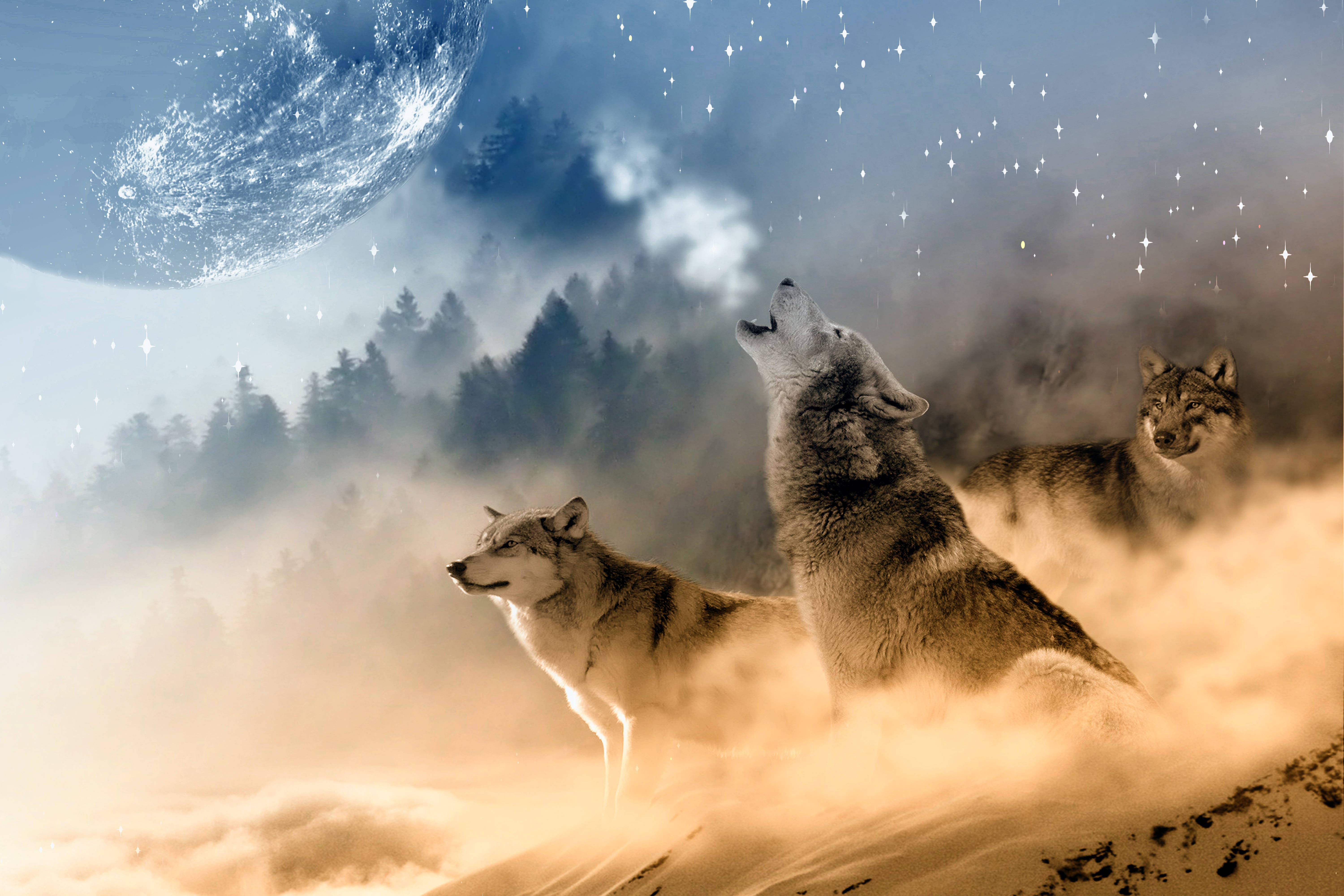 HD Wolf 桌布 壁紙 — 三隻狼在星空下嚎叫，一輪發光的月亮懸在霧氣籠罩的森林上方。
