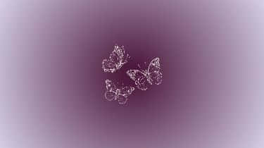 Purple-butterfly-laptop 壁紙 — 三隻精緻的白色蝴蝶，帶有複雜的翅膀圖案，在柔和的紫色漸變背景上優雅地飄浮。