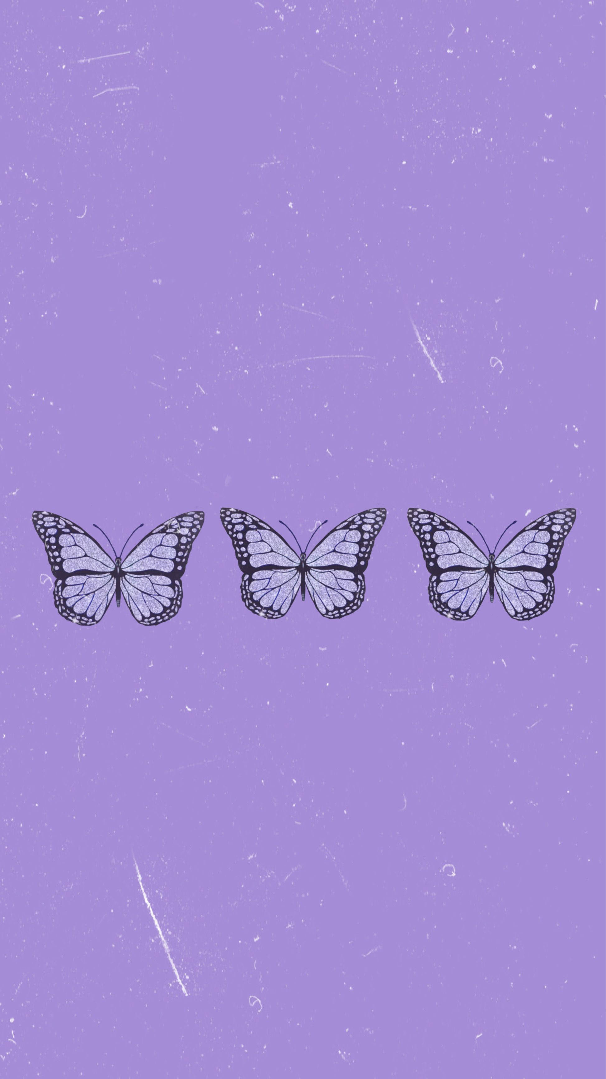 purple butterfly phone 桌布 壁紙 — 三隻精緻的蝴蝶，帶有複雜的黑色輪廓，漂浮在質感薰衣草背景上。