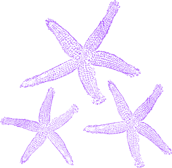 Starfish Clipart 桌布 壁紙 — 三隻紫色海星以點狀像素風格漂浮在純白色背景上。
