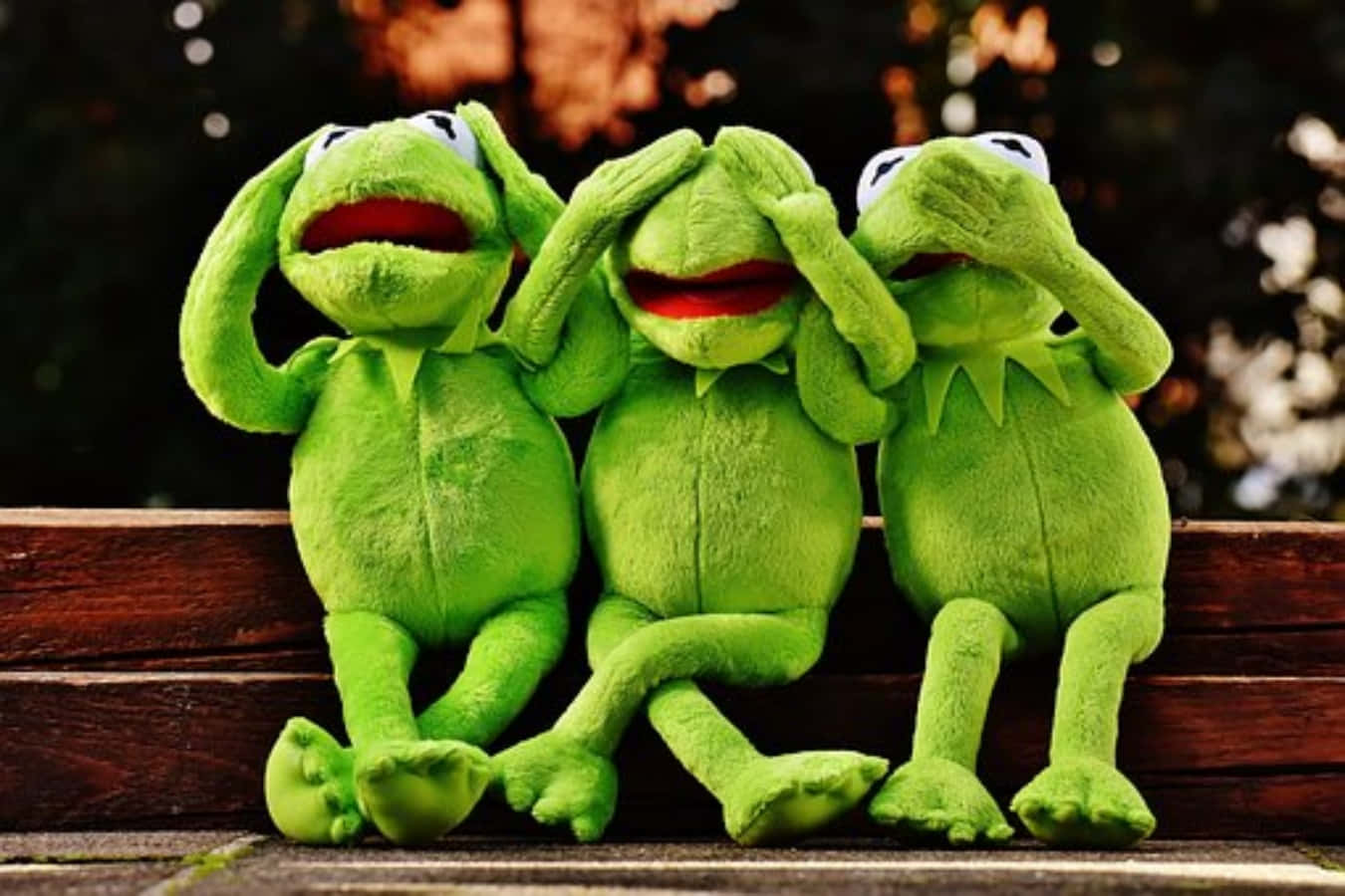 muppets 桌布 壁紙 — 三隻綠色Kermit絨毛玩具坐在木長椅上，遮住耳朵、眼睛和嘴巴，擺出經典的「非禮勿視、非禮勿聽、非禮勿言」姿勢。