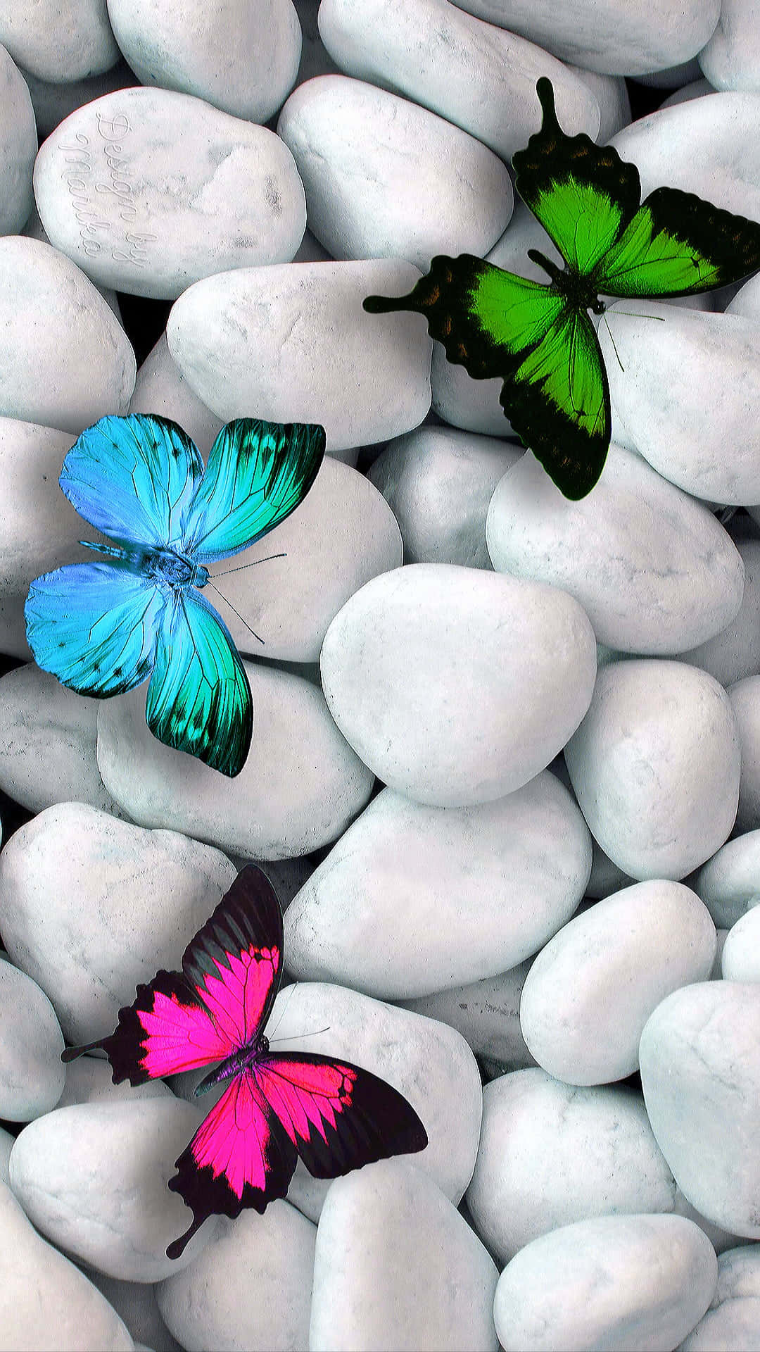 Butterflies 桌布 壁紙 — 三隻色彩鮮豔的蝴蝶（藍色、綠色和粉紅色）停在光滑的白色河石上，營造出寧靜的自然場景。
