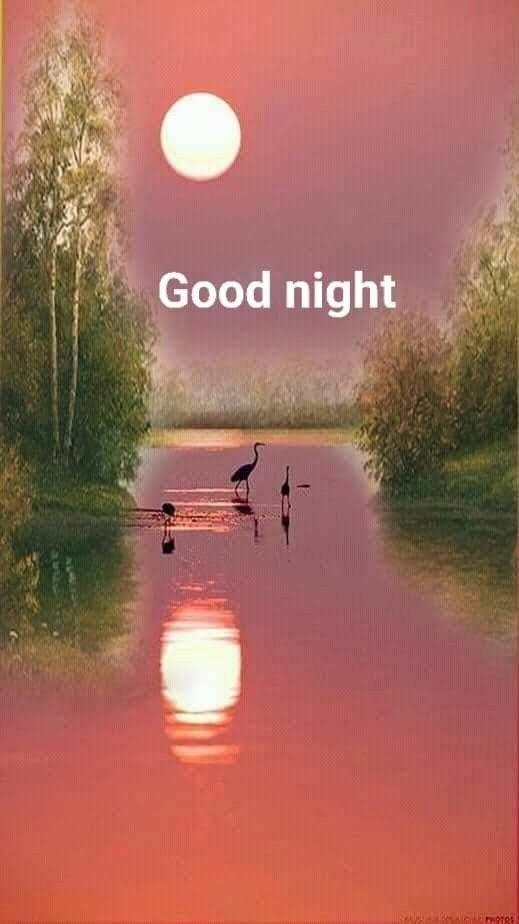 Good Night 桌布 壁紙 — 三隻蒼鷺站在平靜的水中，一輪明亮的滿月在水面上投下粉紅色的倒影。