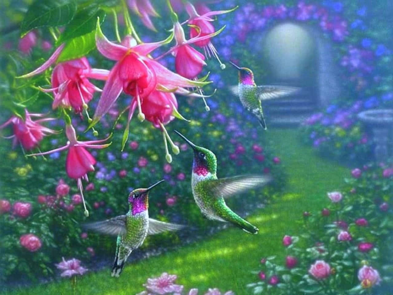 Spring Birds 桌布 壁紙 — 三隻虹彩蜂鳥在柔和的燈光下，於茂密魔法花園中鮮豔的粉紅色倒掛金鐘花附近盤旋。