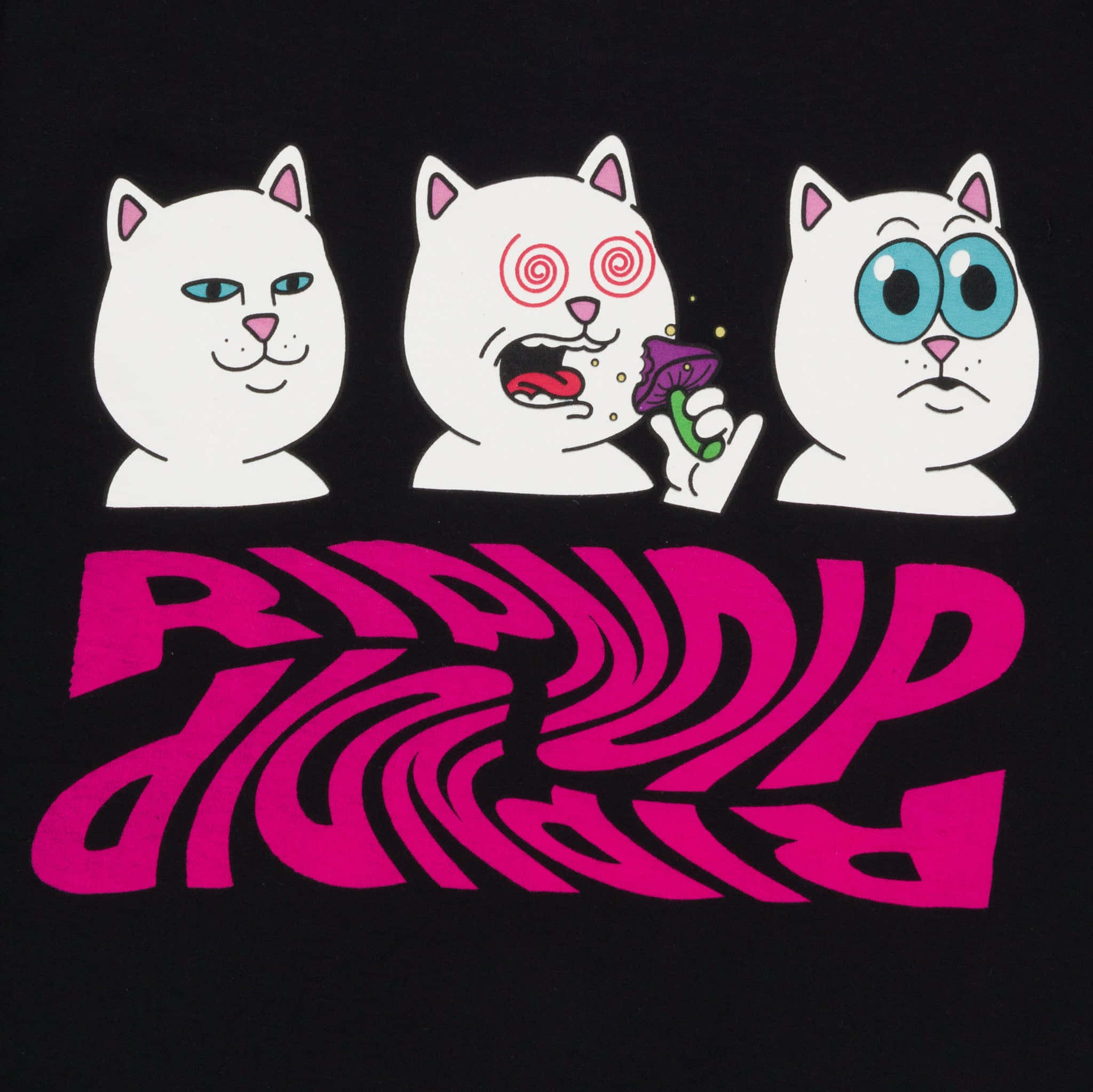 ripndip 桌布 壁紙 — 三隻風格化的白貓，表情各異，帶有迷幻元素，背景為黑色，並有粗體粉紅色文字。
