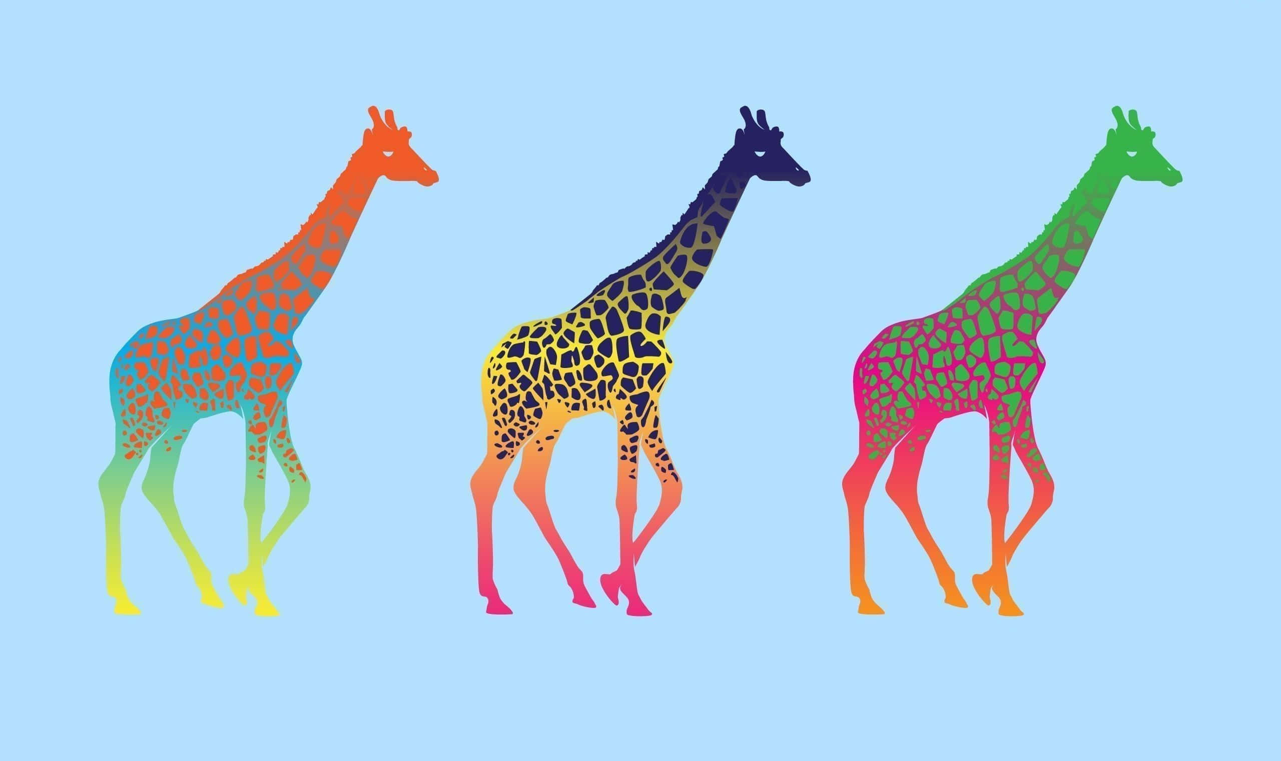 Kawaii Giraffe 桌布 壁紙 — 三隻風格化的長頸鹿以鮮豔的彩虹漸變色立在柔和藍色背景上。