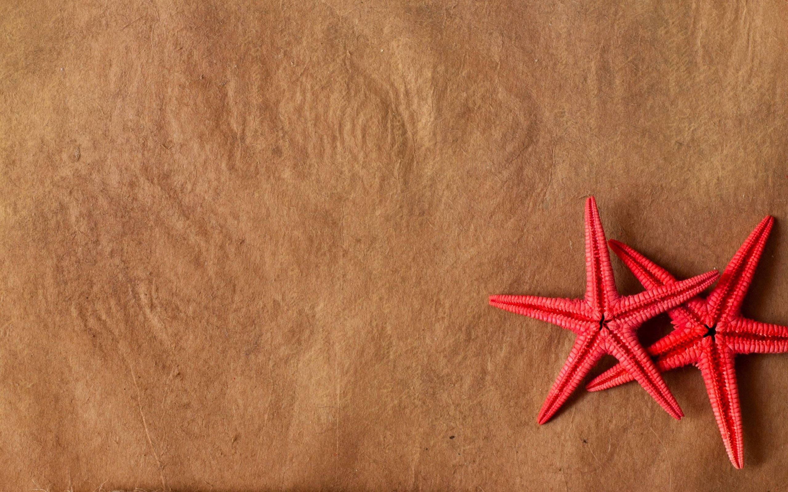Red Star 桌布 壁紙 — 三隻鮮紅色的海星放在有紋理的棕色紙張表面上，留有大量空白空間。