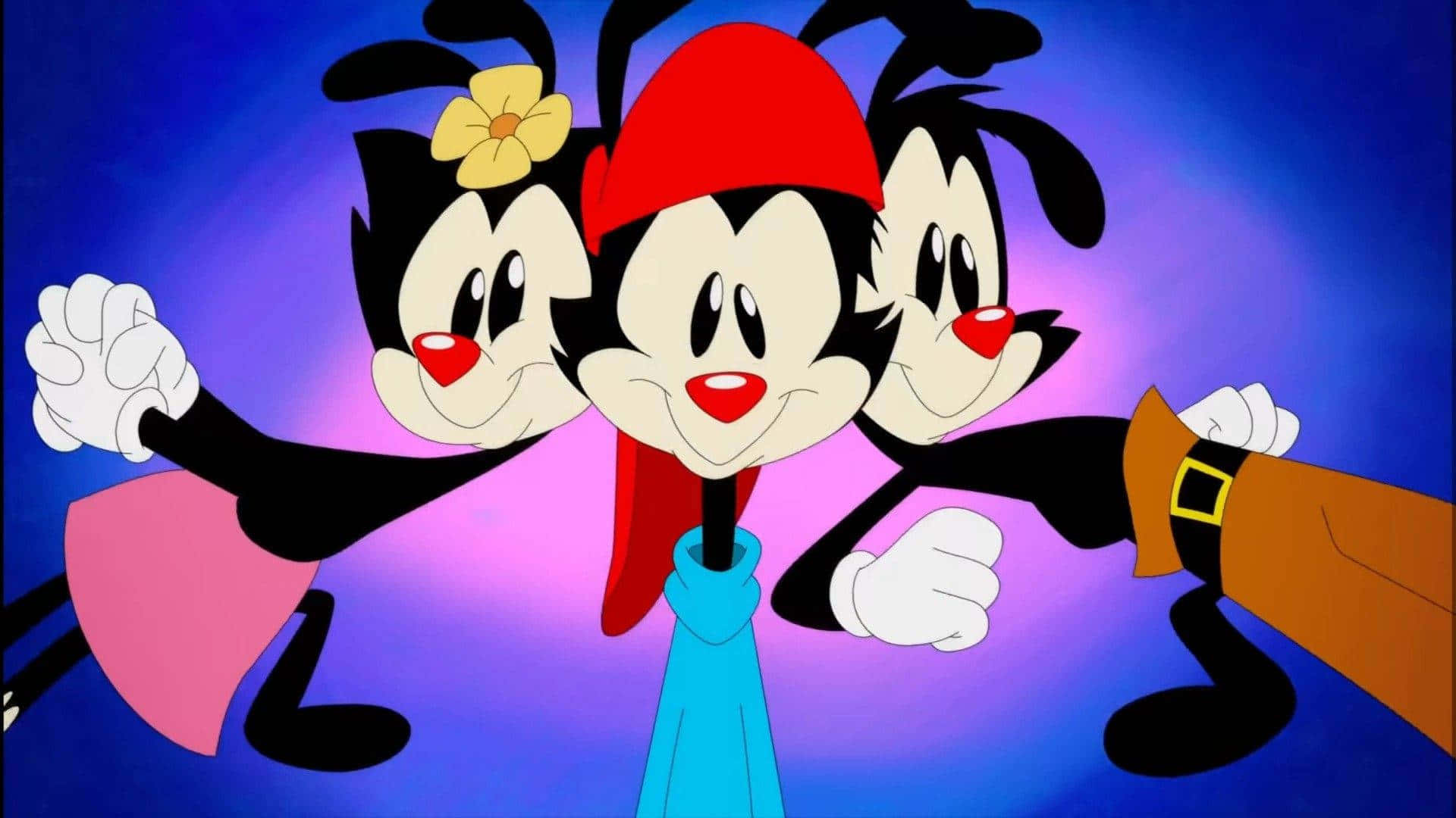 Animaniacs 桌布 壁紙 — 三隻黑色毛髮、紅色嘴唇的卡通貓咪在充滿活力的紫色和藍色漸變背景前愉快地擺姿勢。