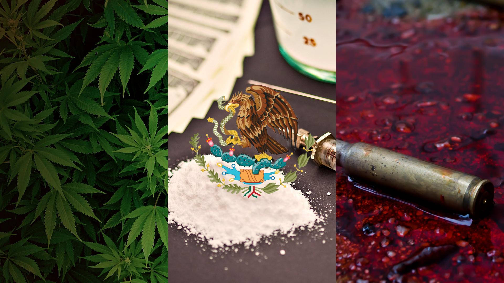 墨西哥國旗 桌布 壁紙 — 三面板拼貼畫：茂盛的綠色大麻葉、墨西哥國旗標誌在古柯鹼堆上附有注射器，以及生鏽的子彈在深紅色液體中。