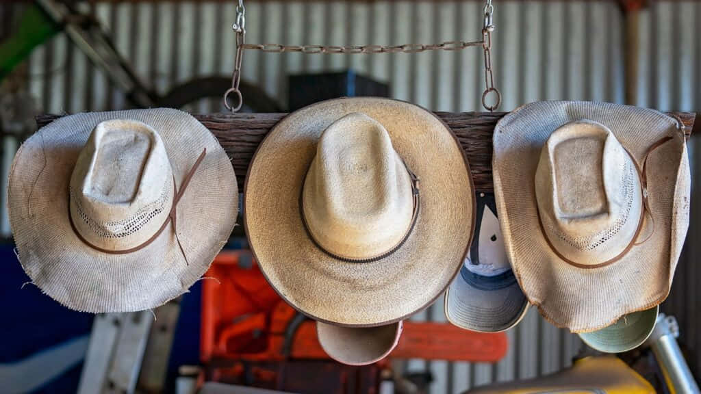 Cowboy Hat 桌布 壁紙 — 三頂風化的草編牛仔帽倒掛在一個有波紋金屬牆壁的質樸穀倉的木樑上。