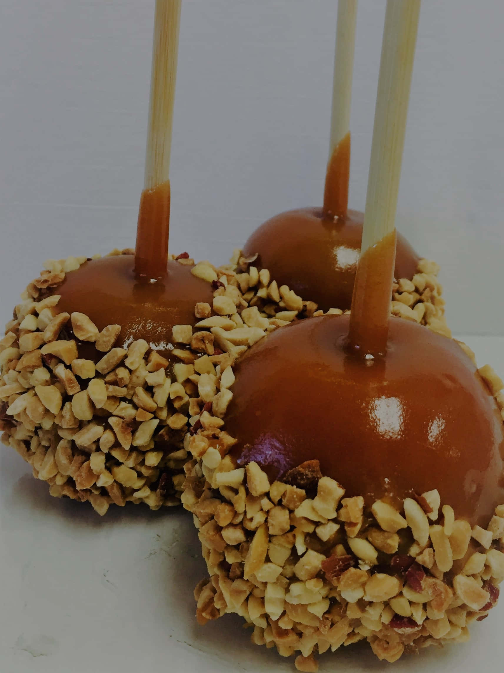 Caramel Apples 桌布 壁紙 — 三顆光滑的焦糖蘋果，裹上碎花生，插在棒上，襯以純白背景。