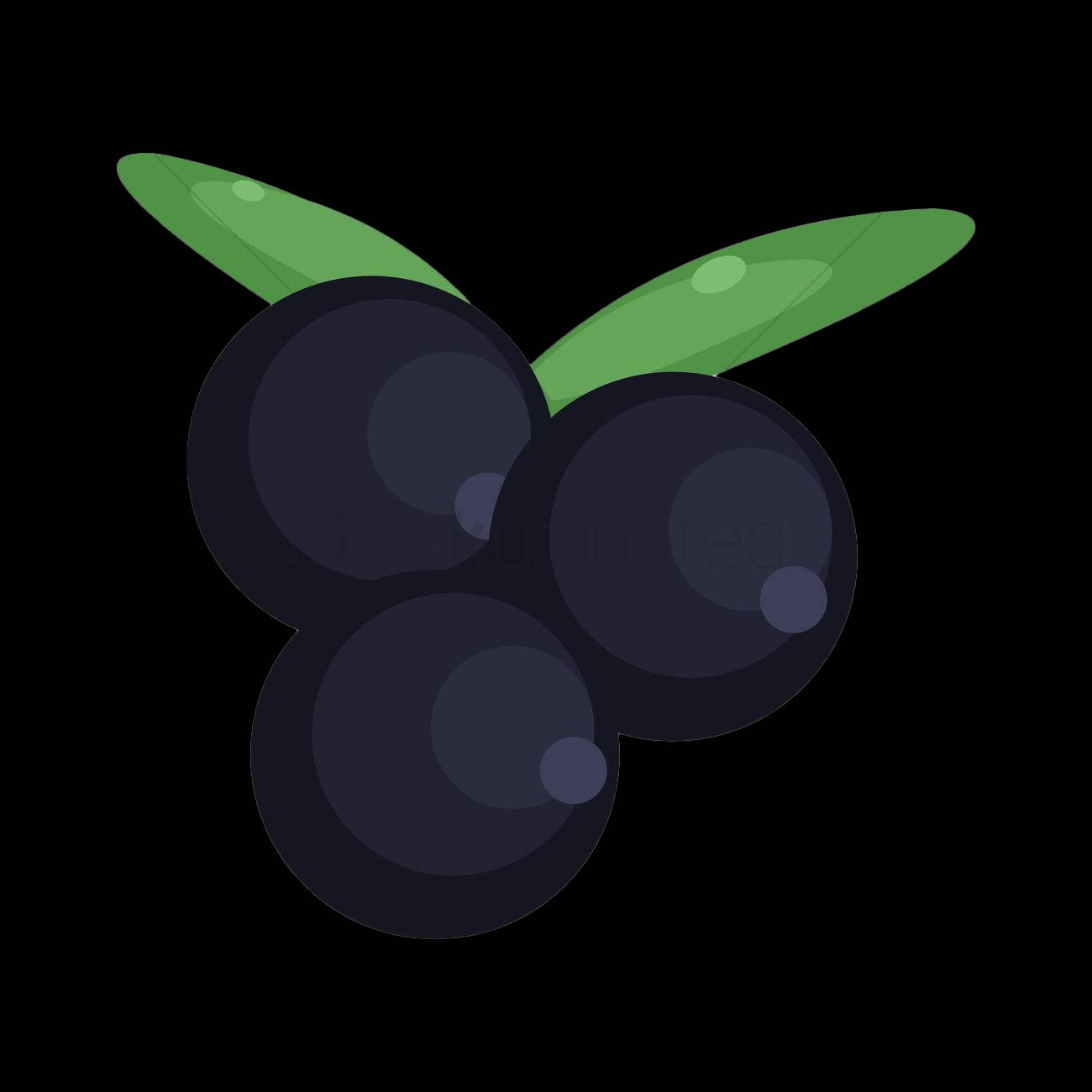 Fruit 桌布 壁紙 — 三顆帶有綠色葉片的光澤黑色漿果，置於純黑背景上。