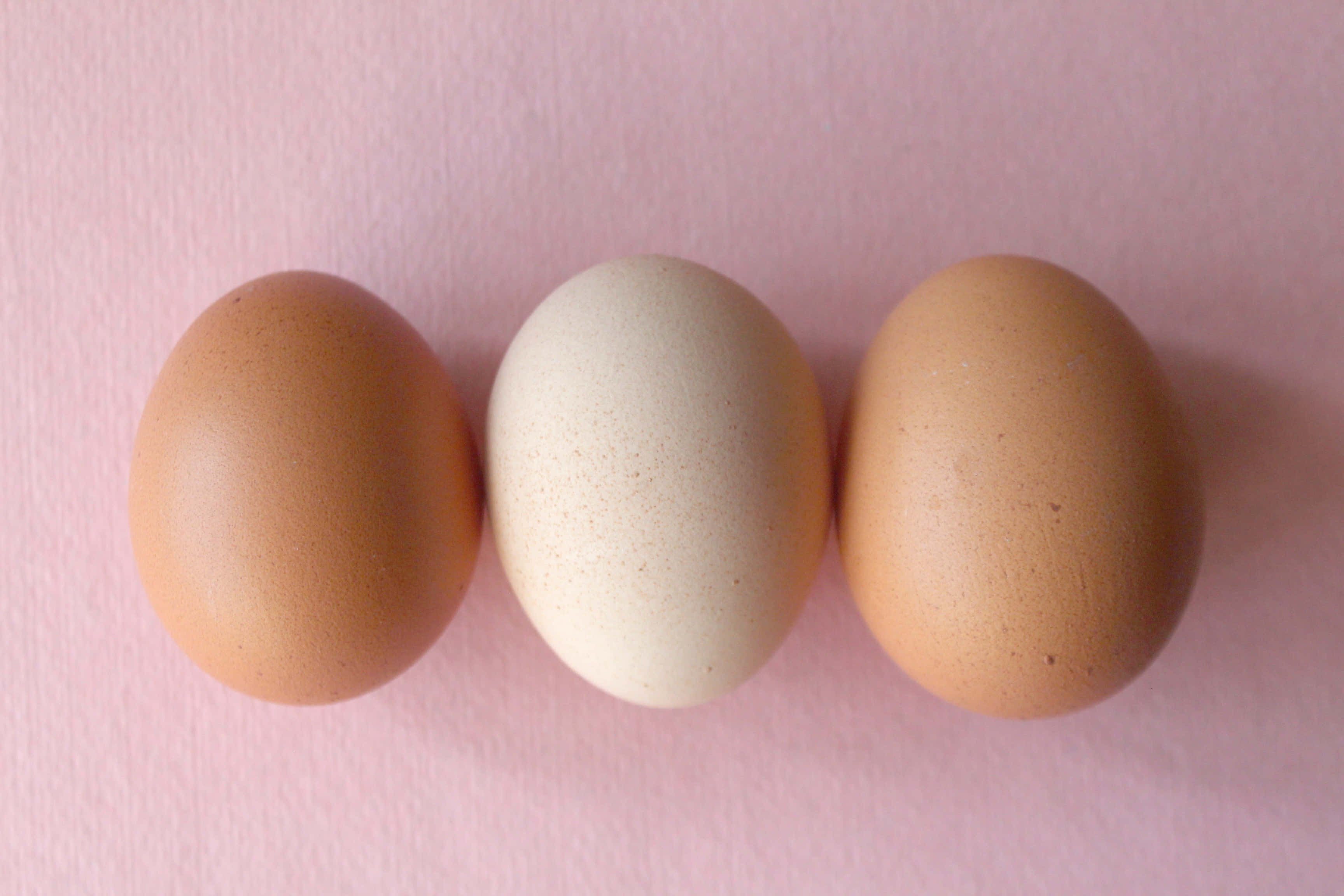 Brown Eggs 桌布 壁紙 — 三顆深淺不一的棕色和奶油色雞蛋整齊地排列在柔軟的粉紅色紋理表面上。