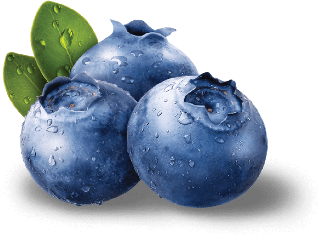 Blueberry 桌布 壁紙 — 三顆閃閃發光的藍莓，帶有露珠和綠葉，在黑色背景上孤立。