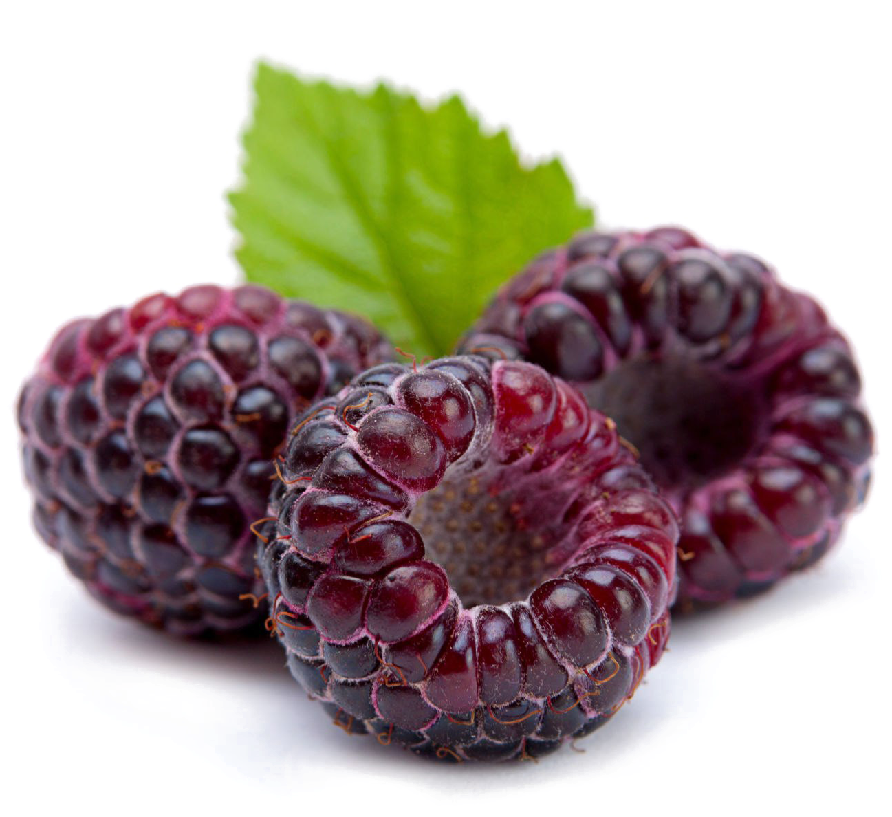 Raspberries 桌布 壁紙 — 三顆飽滿的深色覆盆子配上一片新鮮綠葉，放在白色盤子上，背景為黑色。
