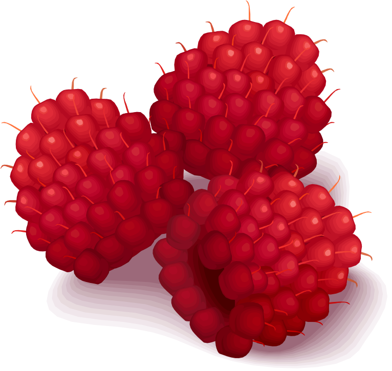 Raspberries 桌布 壁紙 — 三顆飽滿的紅色覆盆子，帶有精緻的橙色莖，放在一個帶有柔和陰影的白色盤子上，背景為黑色。