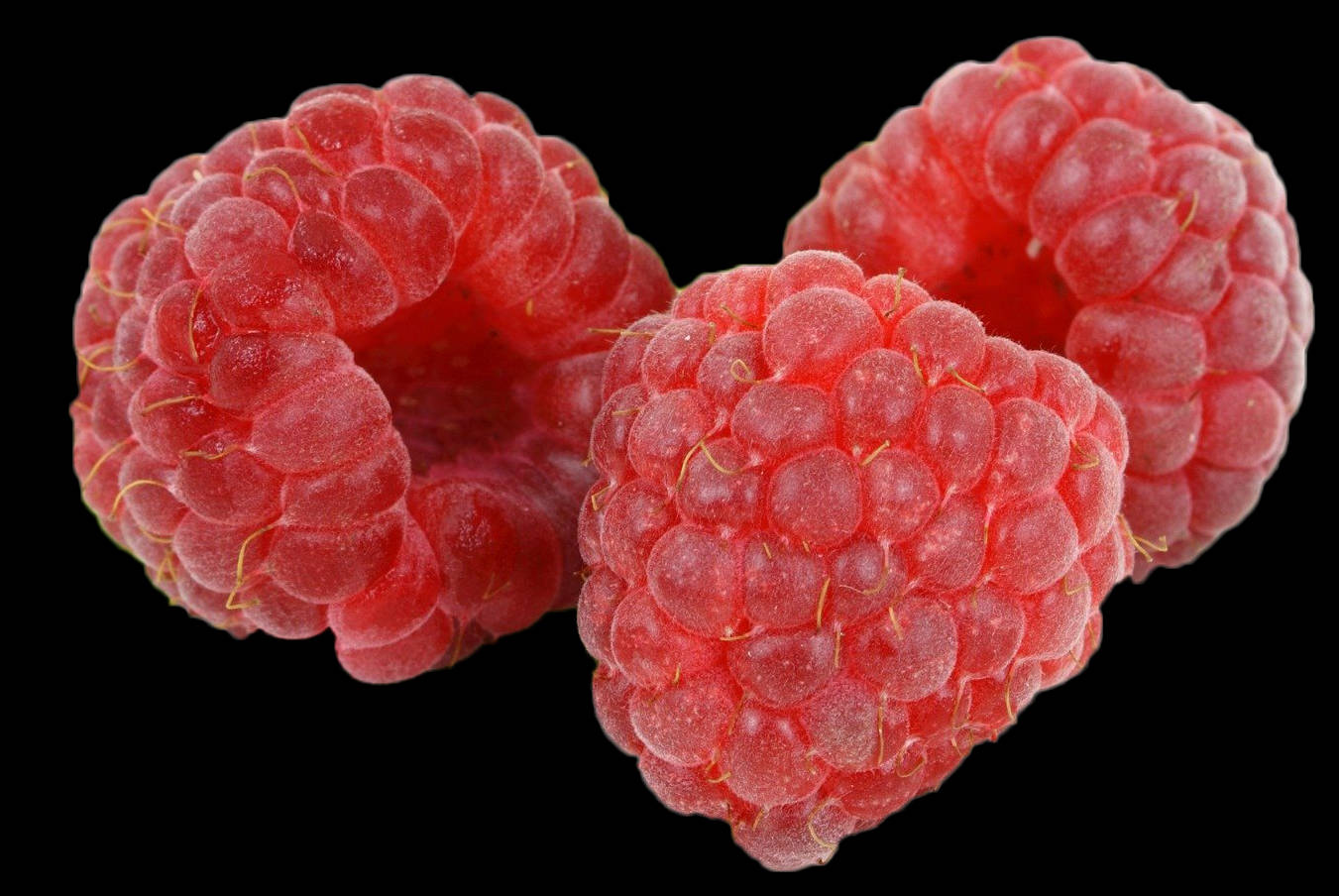 Berry 桌布 壁紙 — 三顆飽滿的紅色覆盆子，表面閃亮並帶有細毛，孤立在純黑色背景上。