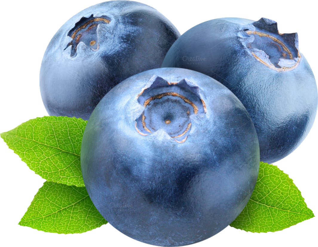 Blueberry 桌布 壁紙 — 三顆飽滿的藍莓，帶有灰藍色的果皮和綠葉，靠在乾淨的白色背景上。