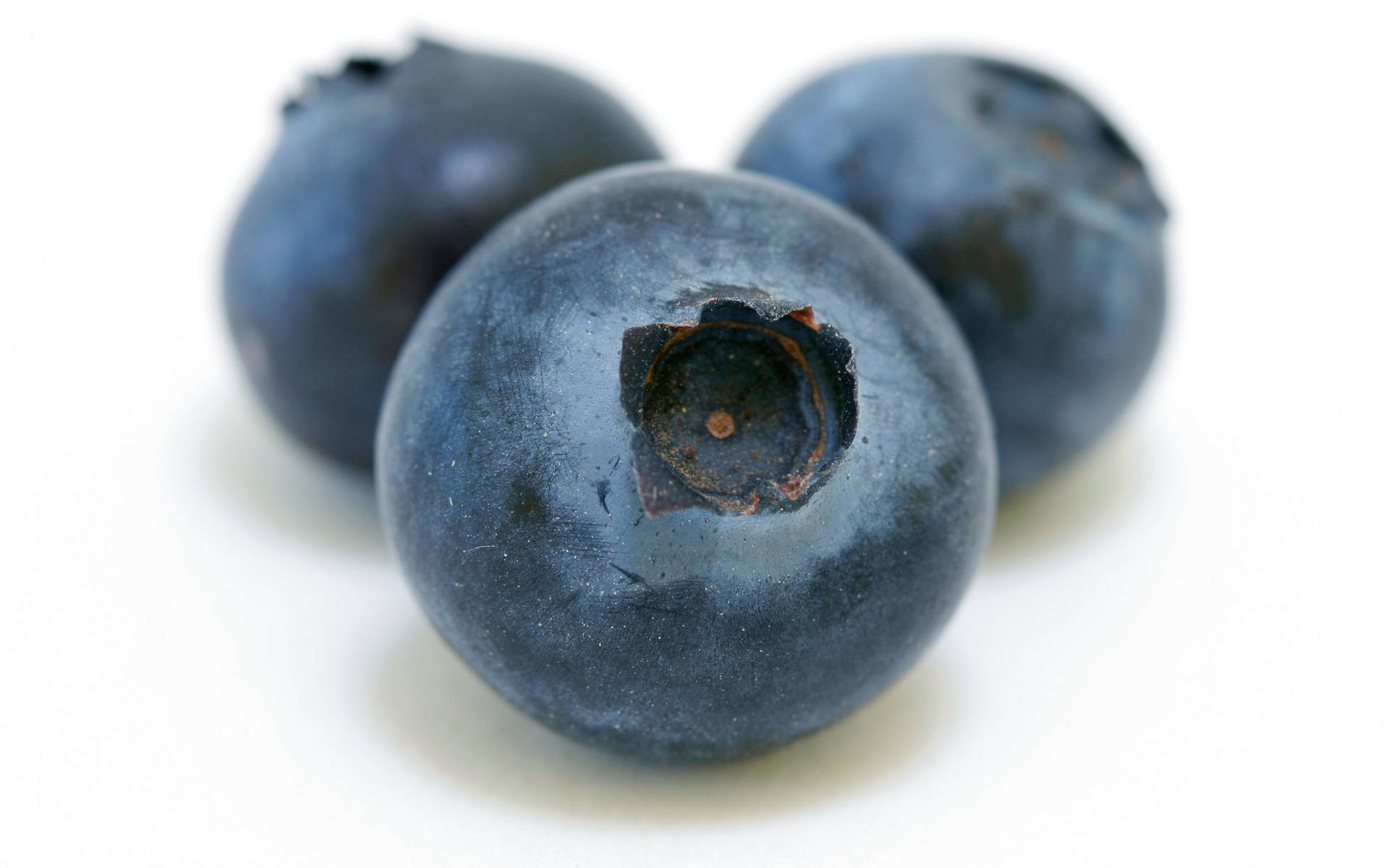 Blueberry 桌布 壁紙 — 三顆飽滿的藍莓，帶有灰藍色的果皮和星形的花萼，放在純白色的背景上。