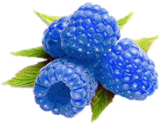 Raspberries 桌布 壁紙 — 三顆鮮豔的藍色覆盆子，帶有露珠質感和綠葉，襯托在純黑背景上。