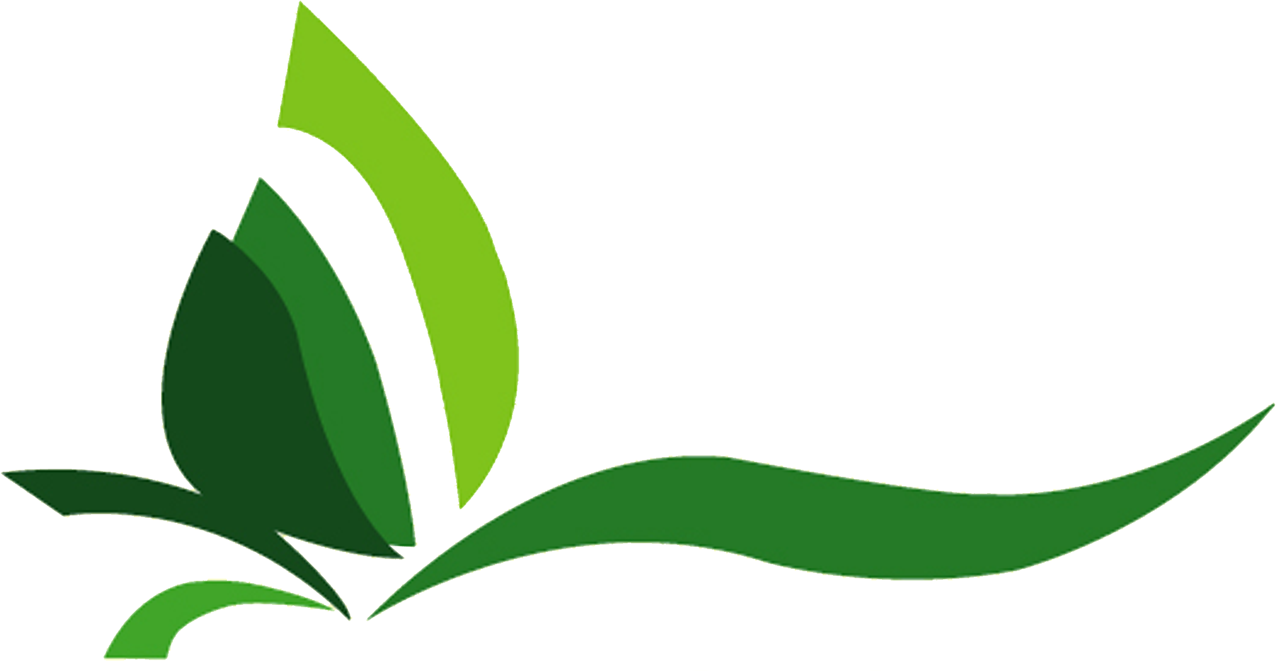 水下動畫 桌布 壁紙 — 不同深淺的風格化綠色葉片形狀在黑色背景上形成流動的抽象植物圖案。