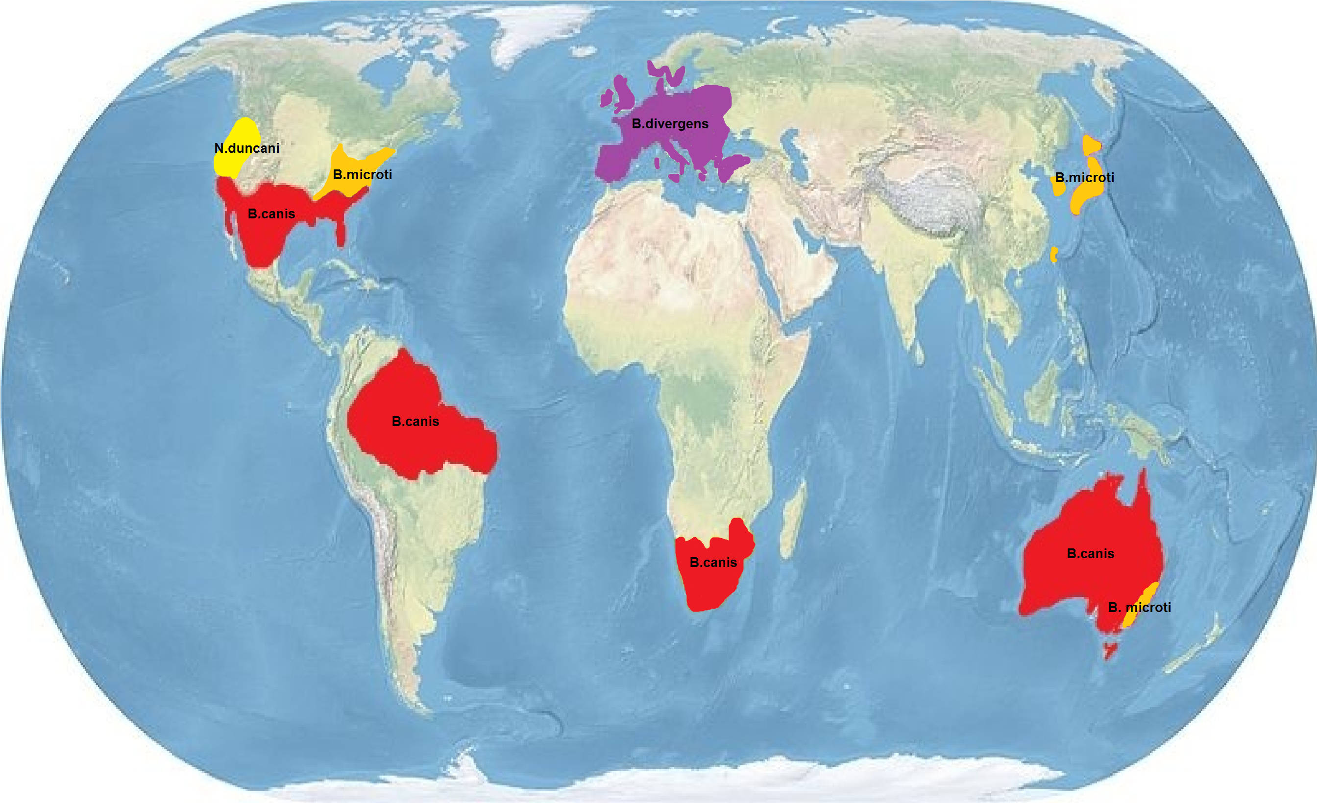 Map 桌布 壁紙 — 世界地圖顯示狼亞種的全球分佈，帶有彩色區域和學名標籤。