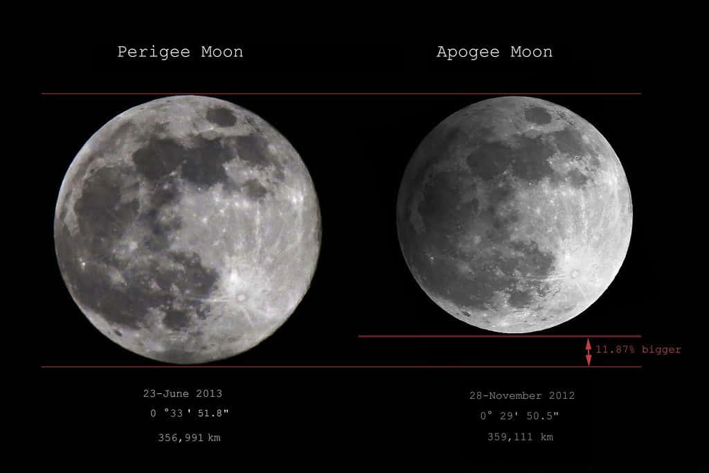 Perigee 桌布 壁紙 — 並排比較近地點和遠地點月球，顯示大小差異和距離數據，背景為黑色天空。