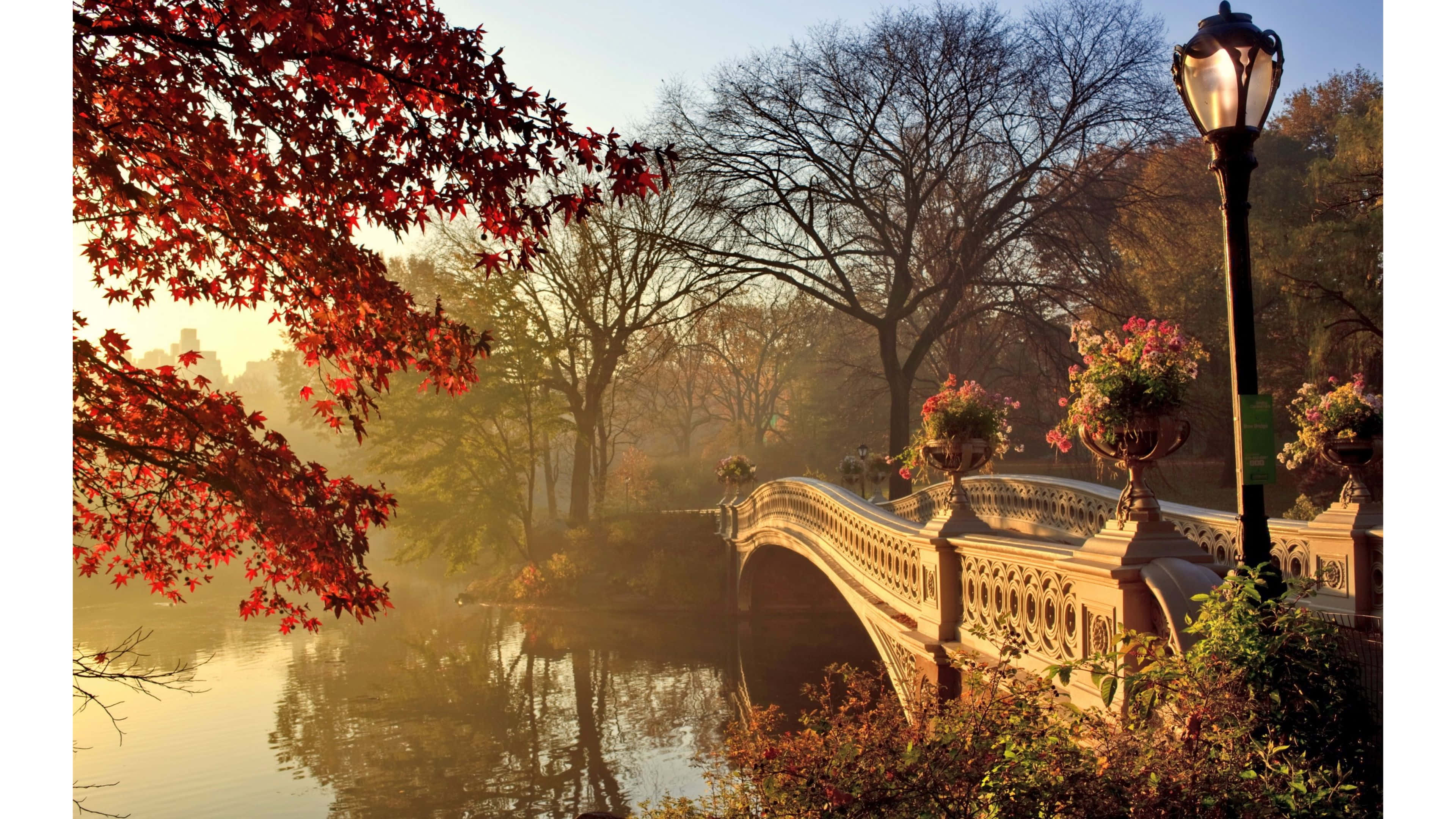 Vintage Autumn 桌布 壁紙 — 中央公園一個霧濛濛的秋天早晨，石橋橫跨水面，周圍是鮮紅色的樹葉和發光的街燈。