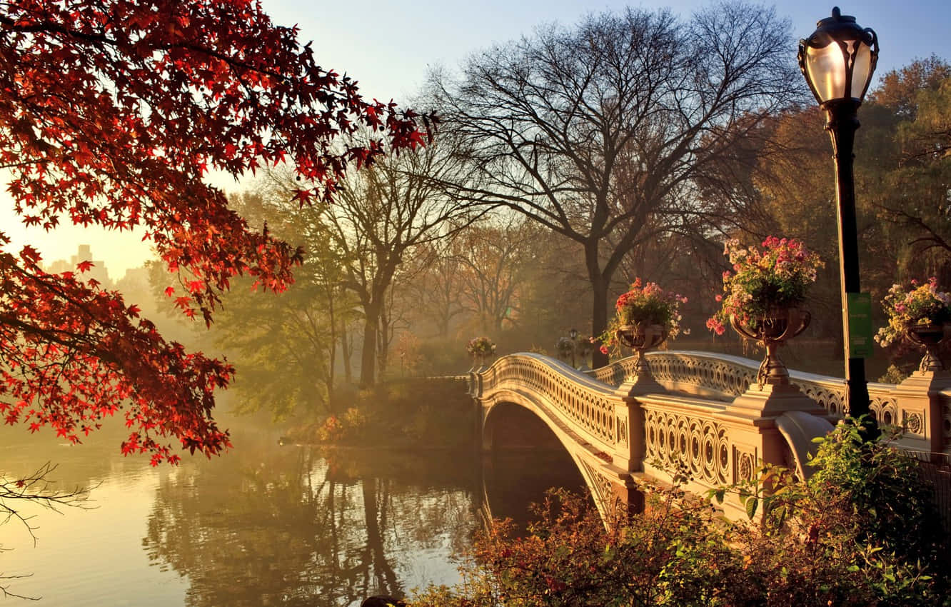 Fall Bridge 桌布 壁紙 — 中央公園一個霧濛濛的秋日早晨，一座石橋橫跨水面，被火紅的樹葉和復古路燈環繞。