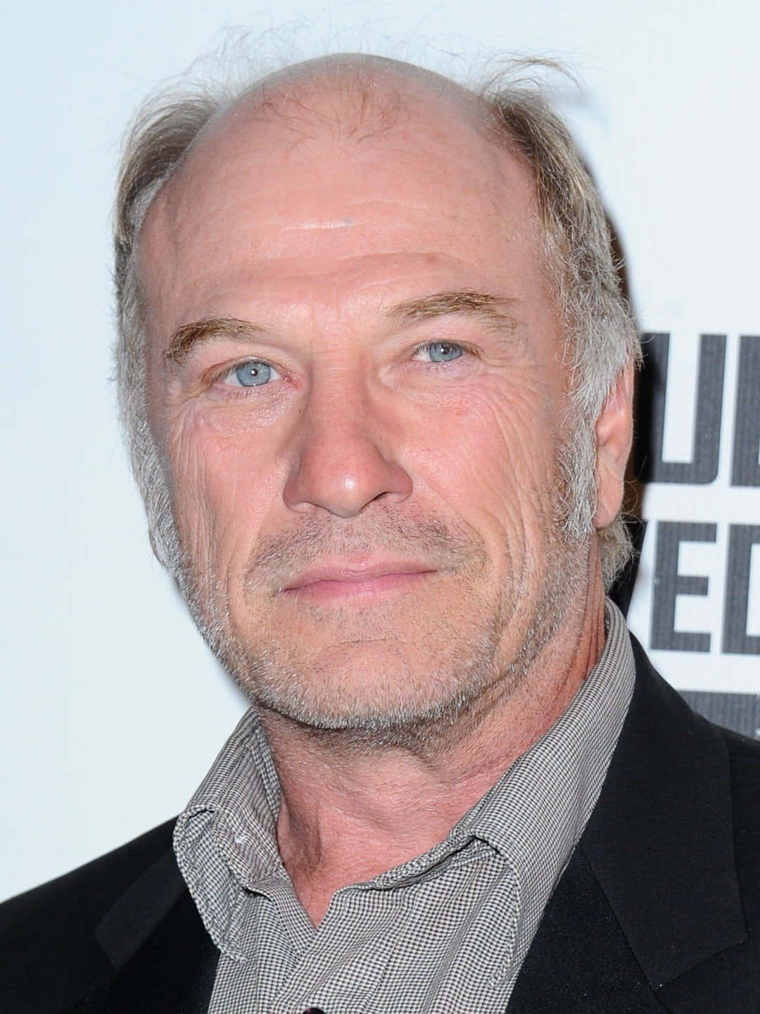 Ted Levine 桌布 壁紙 — 中年男子的特寫肖像，藍眼睛、灰頭髮，穿著黑色西裝外套搭配格紋襯衫。