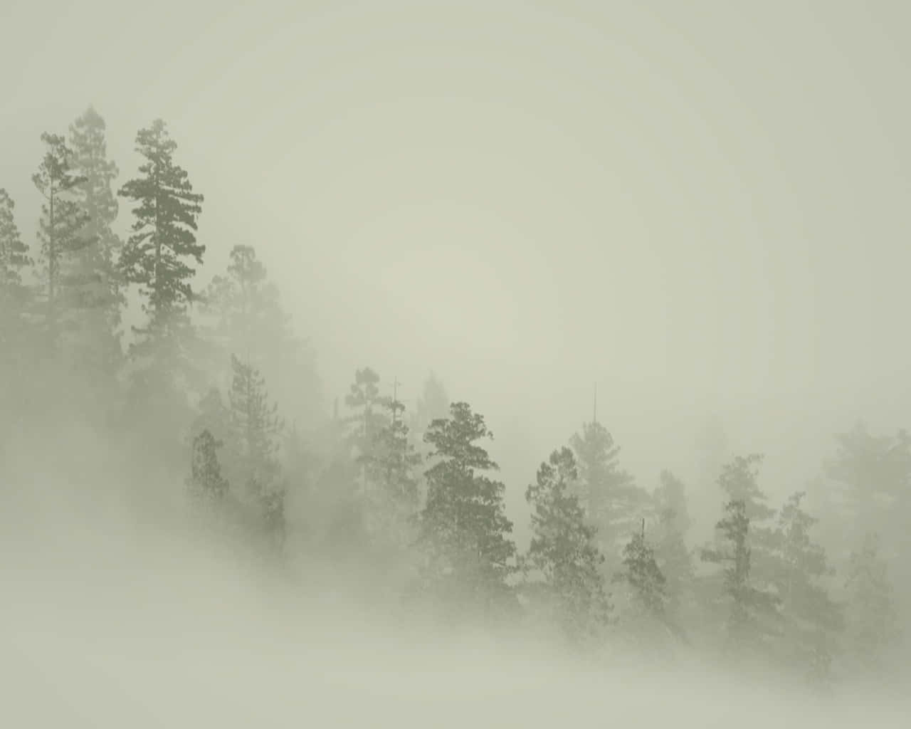 中性背景 壁紙