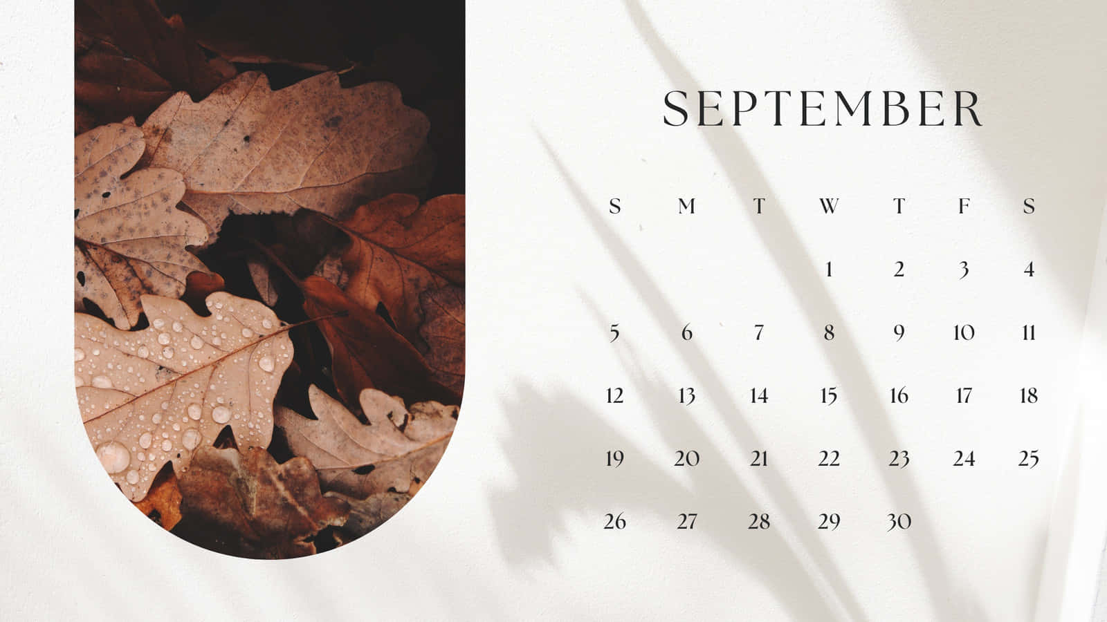 September 桌布 壁紙 — 九月日曆，彎曲框架內帶有露水的秋葉，在奶油色背景上投下柔和陰影。