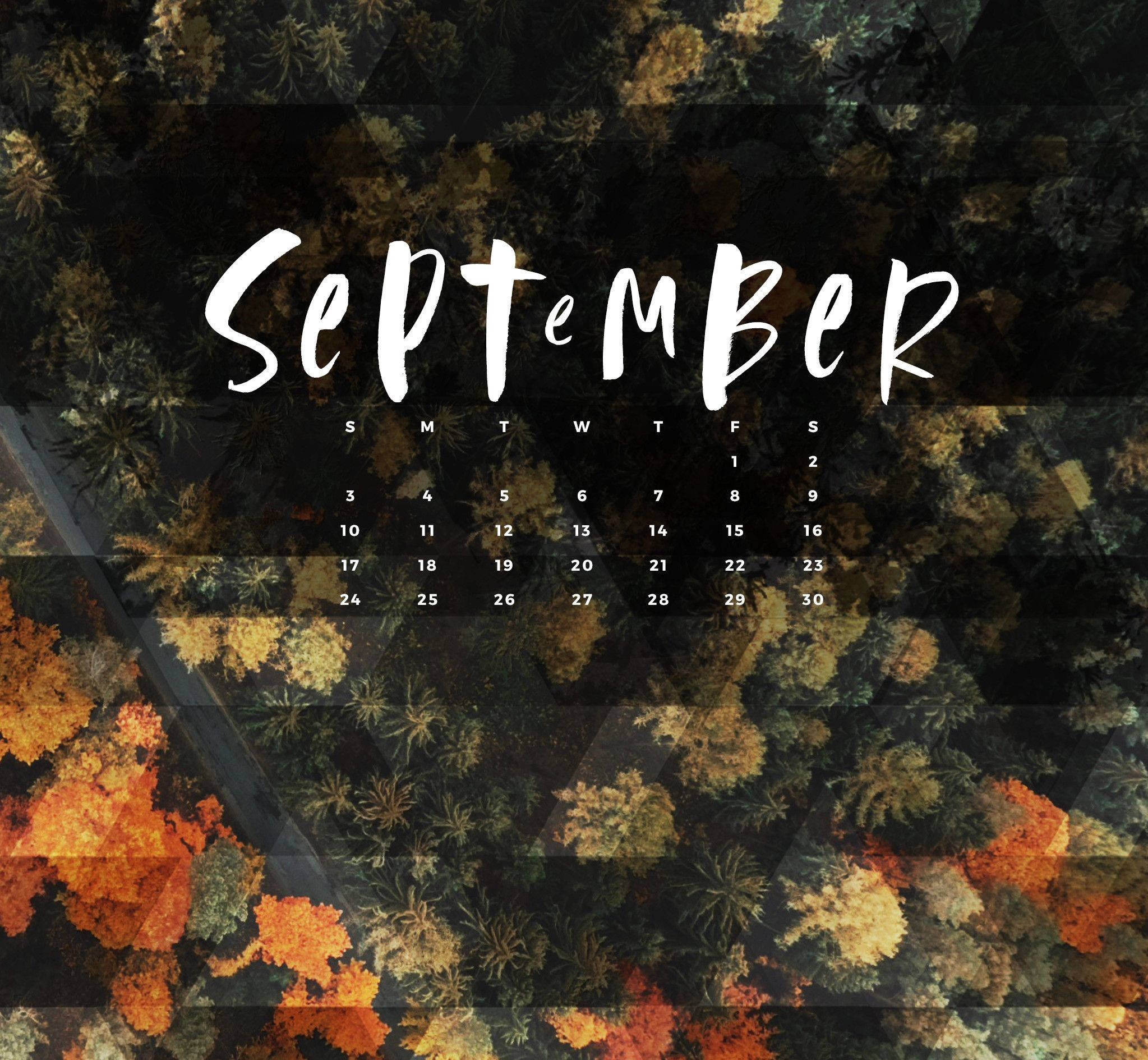 September 桌布 壁紙 — 九月日曆覆蓋層下的秋日森林鳥瞰圖，充滿活力的橙色和黃色樹葉。