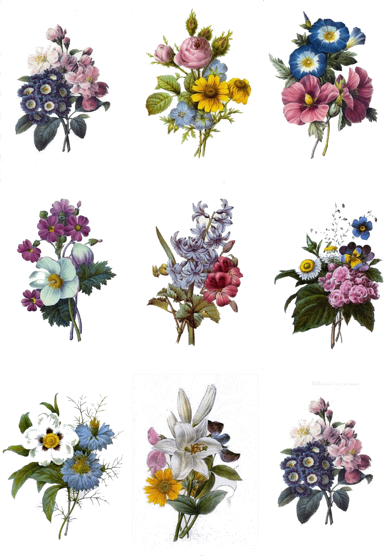 劍蘭 桌布 壁紙 — 九束復古風格的花束，包含多種花朵和葉子，排列在純黑色背景上。