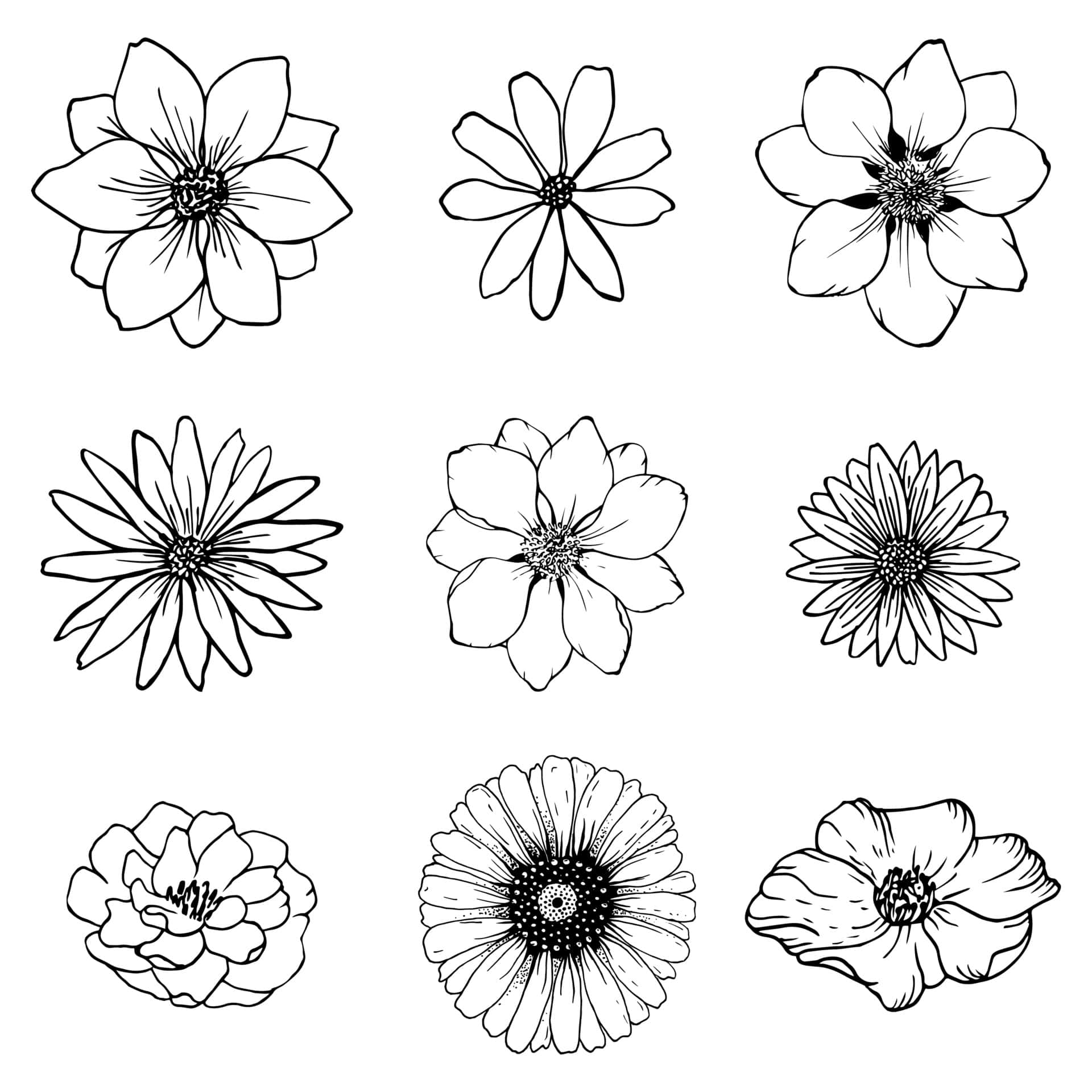 Flowers 桌布 壁紙 — 九種不同的黑白線條繪畫，描繪各種花卉類型，以網格排列在純色背景上。