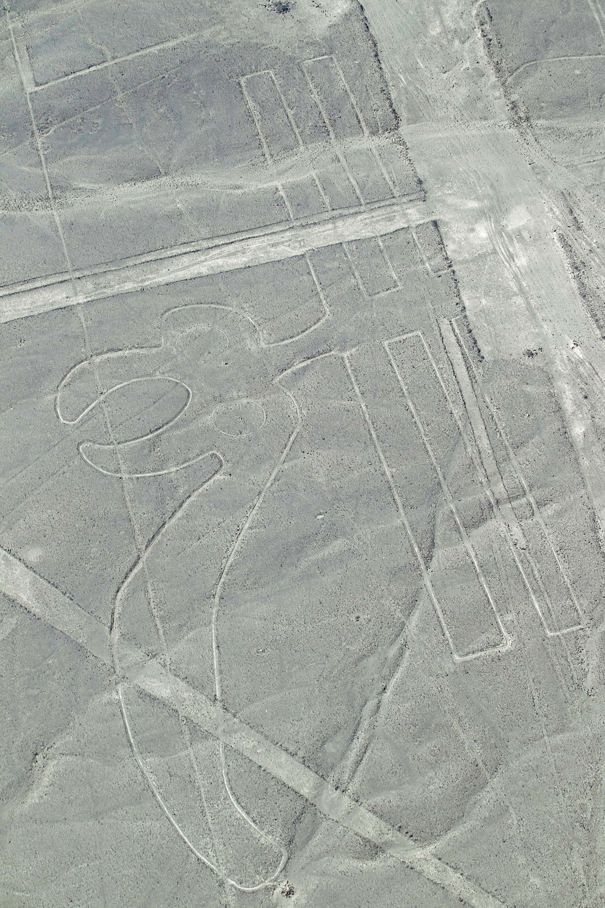 The Nazca Lines 桌布 壁紙 — 乾旱沙漠地形上刻有古代地畫的鳥瞰圖，展現出巨大的風格化人物和幾何圖案。