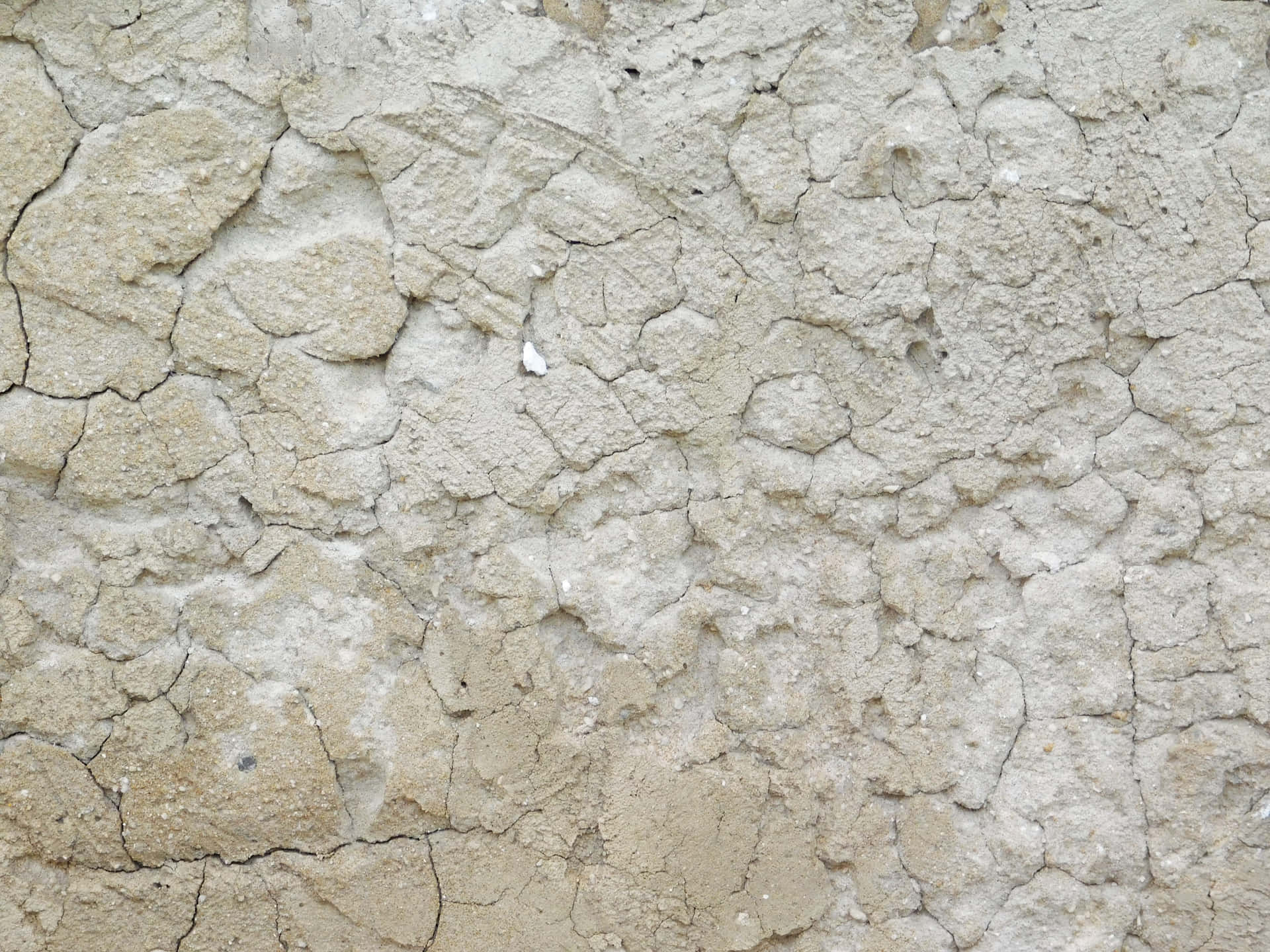 Stone texture 壁紙 — 乾燥條件下，乾涸的米色泥土裂成不規則多邊形碎片的特寫。