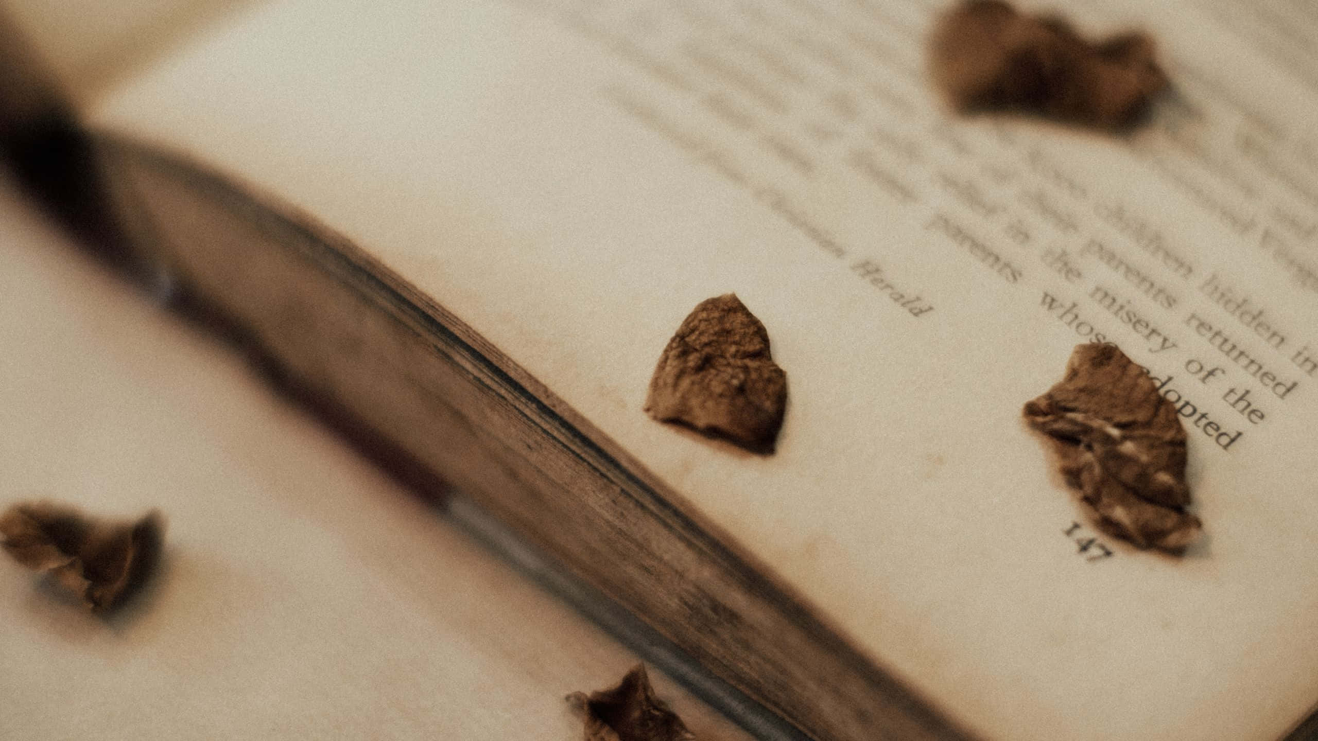 復古美學 桌布 壁紙 — 乾燥樹葉散落在打開的舊書頁上，文字模糊的特寫。