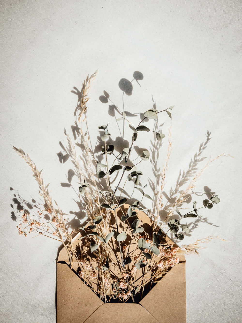 Boho Art 桌布 壁紙 — 乾燥的桉樹和草從棕色紙信封中溢出，映襯著柔軟紋理的牆壁，帶有戲劇性的陰影。