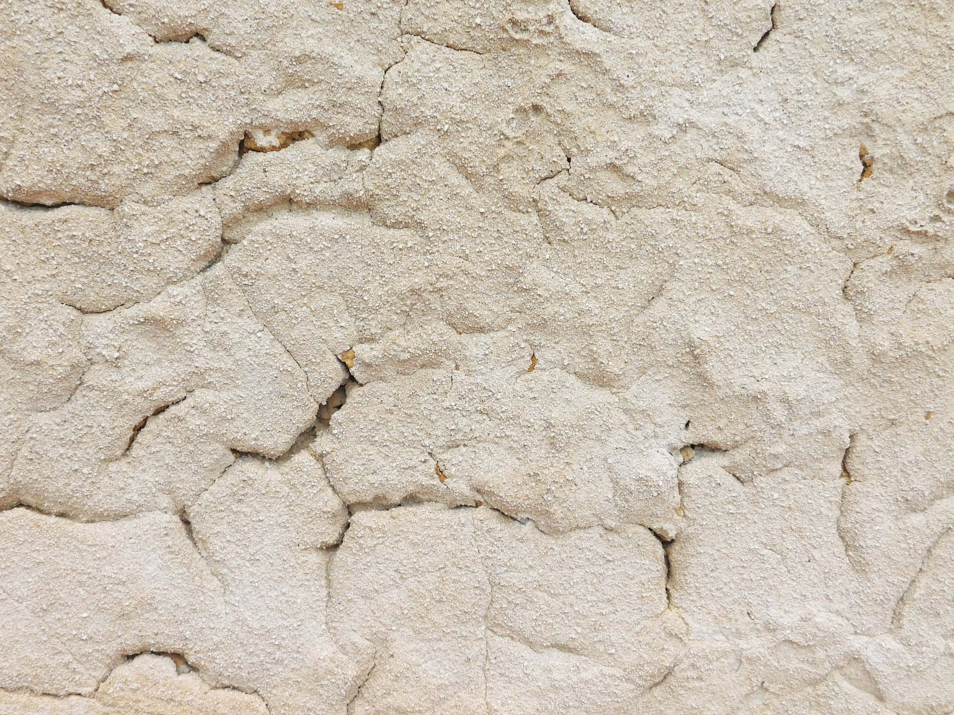 Stone texture 壁紙 — 乾燥的米色泥土在猛烈陽光下裂成不規則多邊形碎片的特寫。