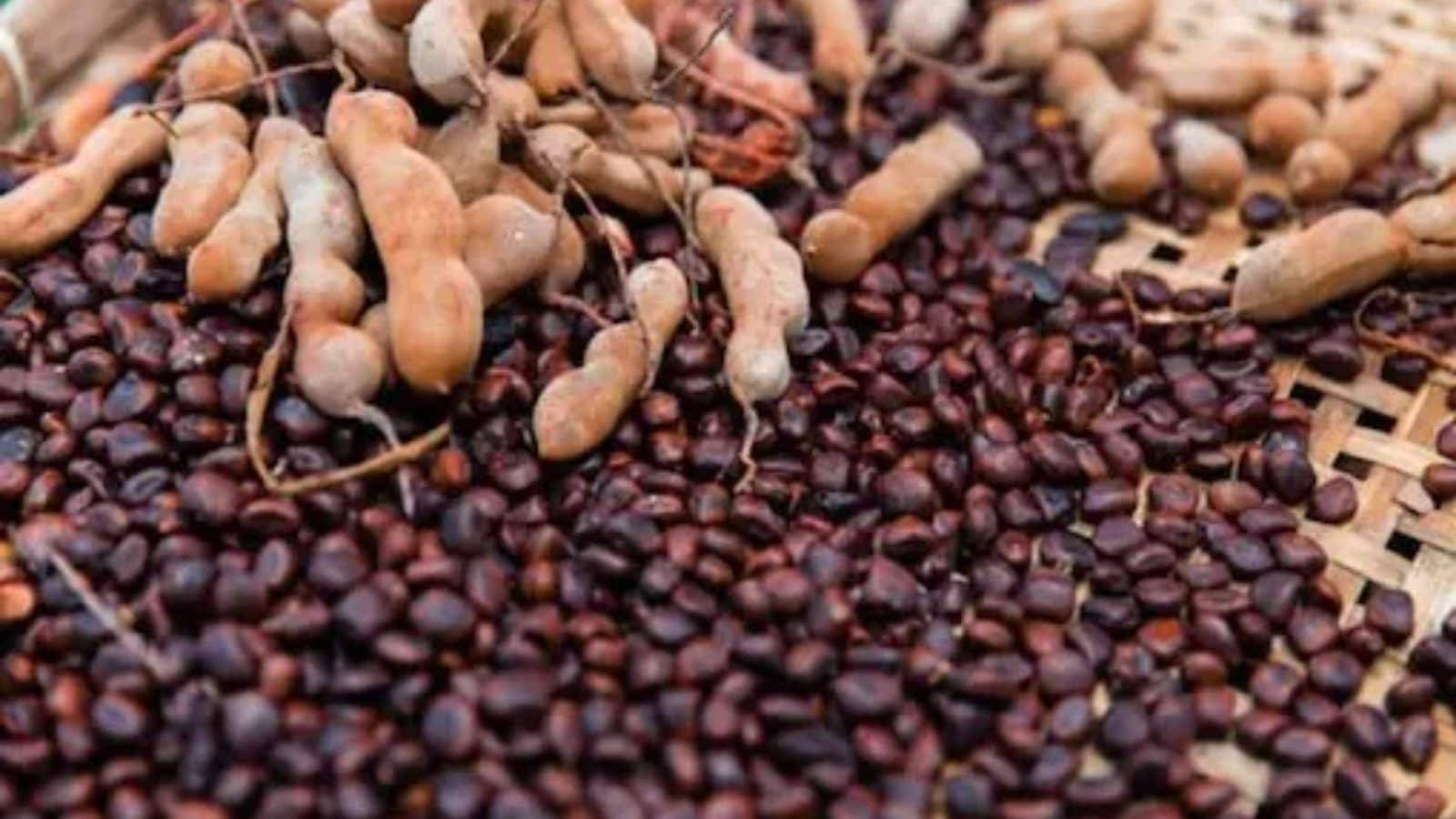 beans 桌布 壁紙 — 乾燥羅望子莢和種子散落在編織竹蓆上的特寫。