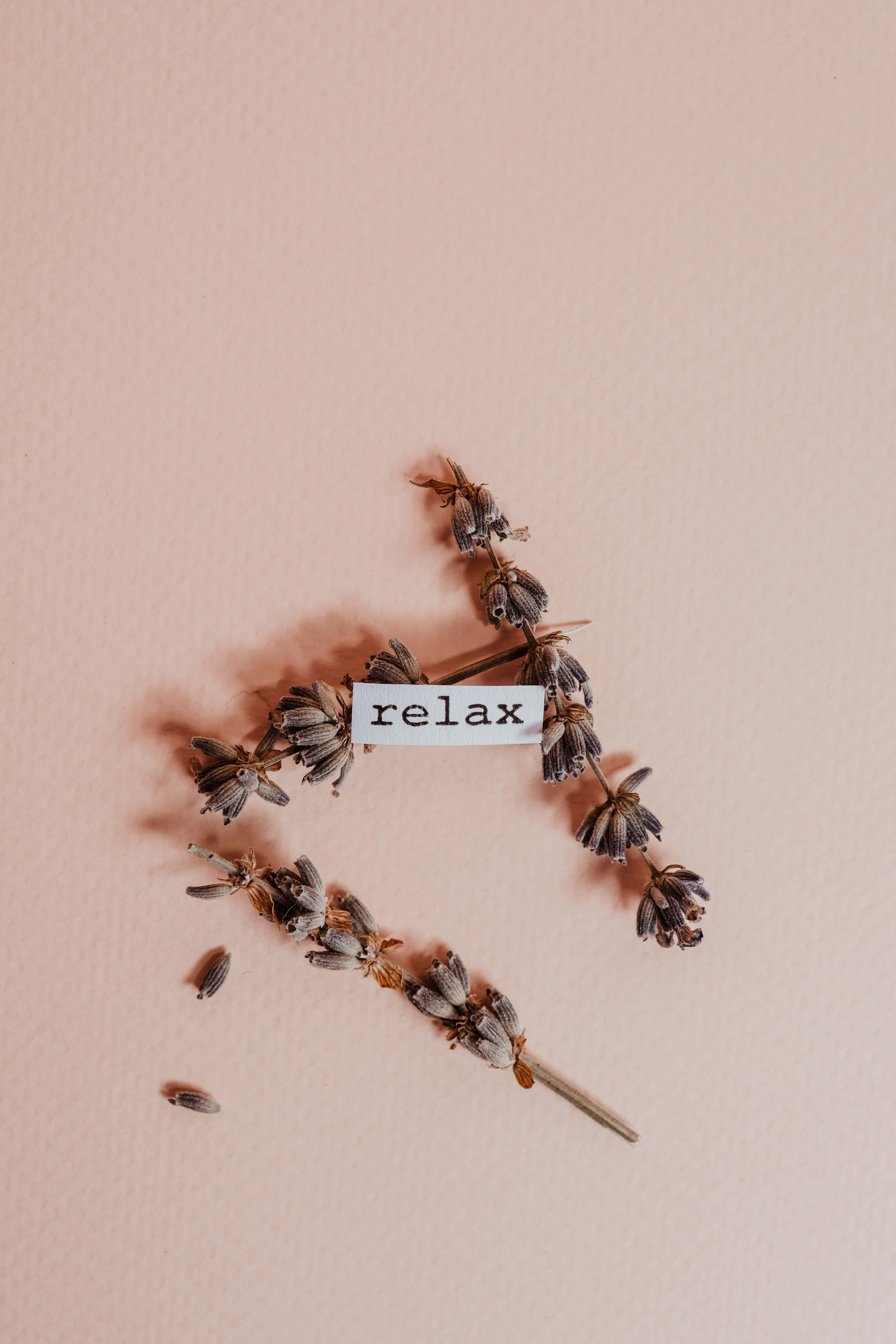 美學米色 桌布 壁紙 — 乾燥薰衣草枝條排列成心形，帶有一個寫著 relax 的小標籤，背景為柔和的桃色。