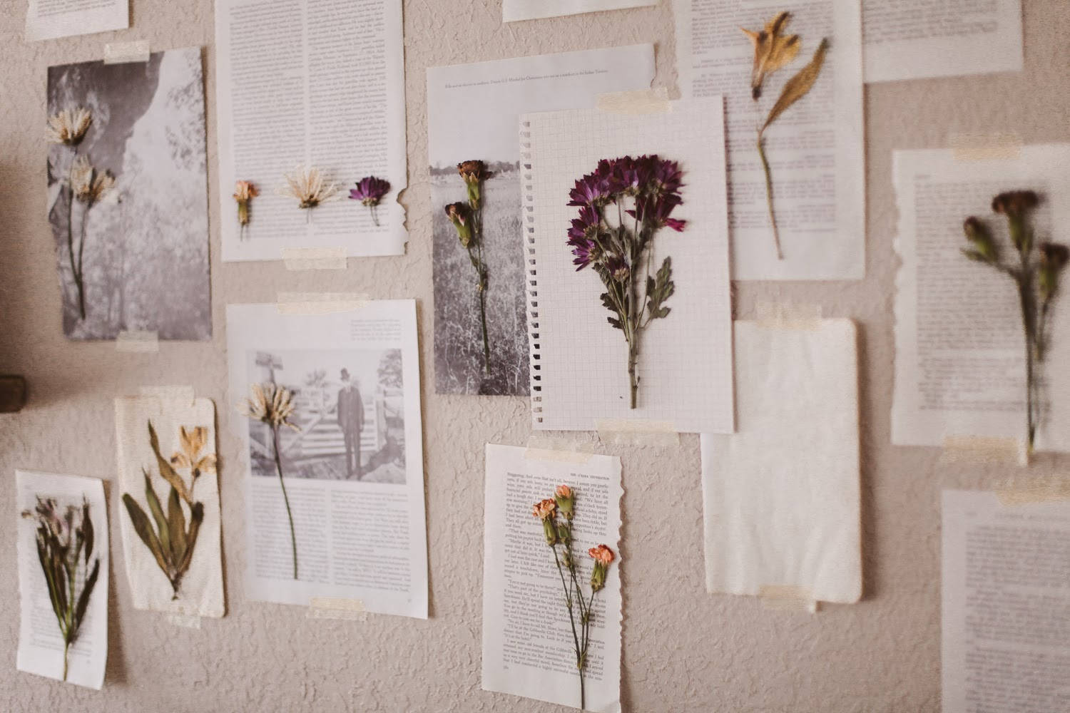 Pinterest Aesthetic 桌布 壁紙 — 乾花和復古書頁用膠帶貼在帶有紋理的牆上，形成懷舊、藝術的拼貼畫。