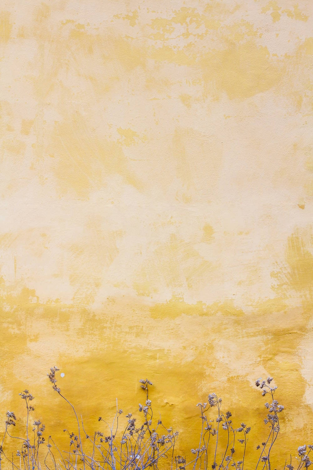 Pastel Yellow Aesthetic 桌布 壁紙 — 乾草在塗有溫暖黃色和奶油色調的紋理牆壁上搖曳。